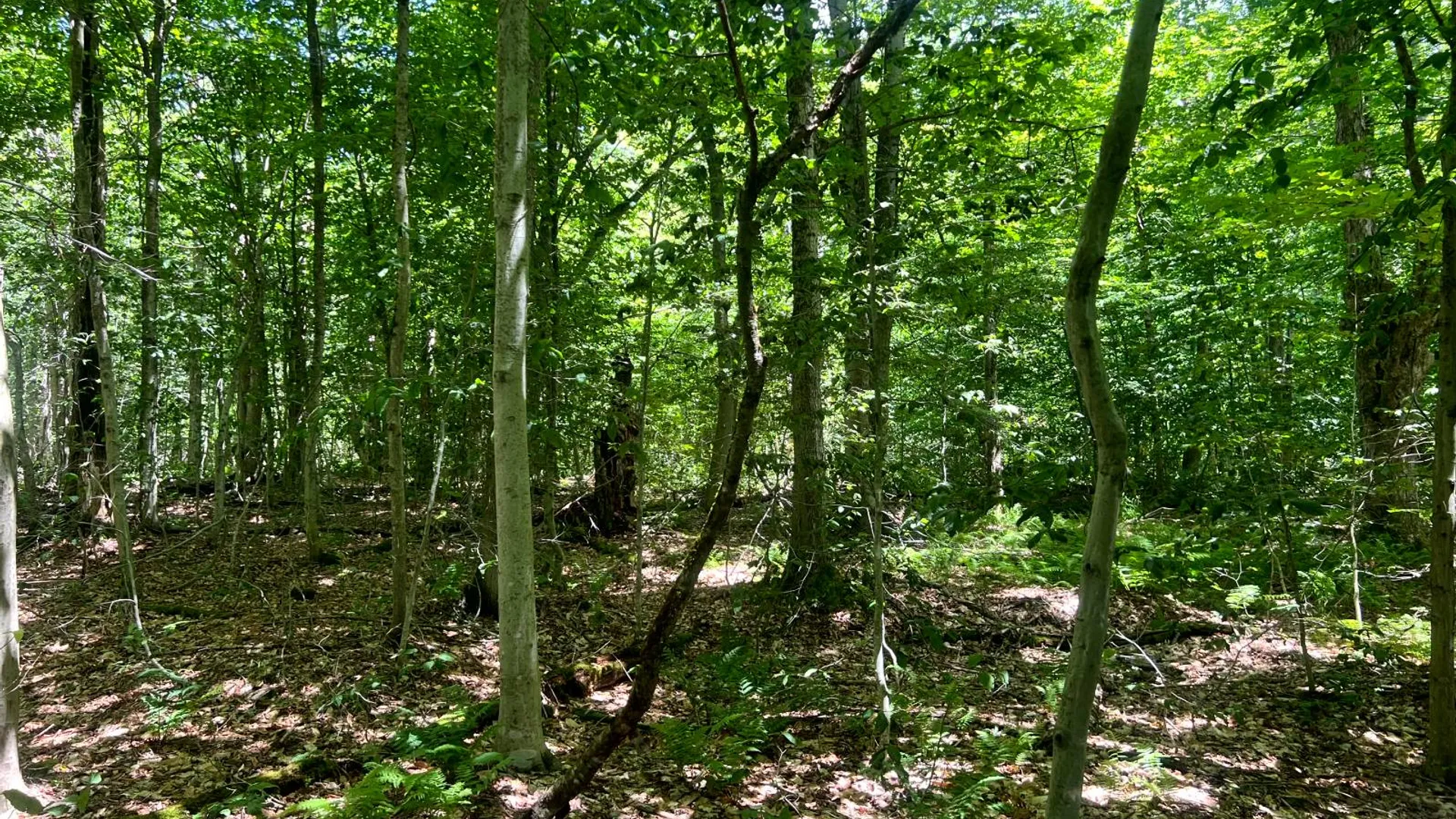Property at Lot 8 Yorkland Rd, Annsville, NY 13471 6