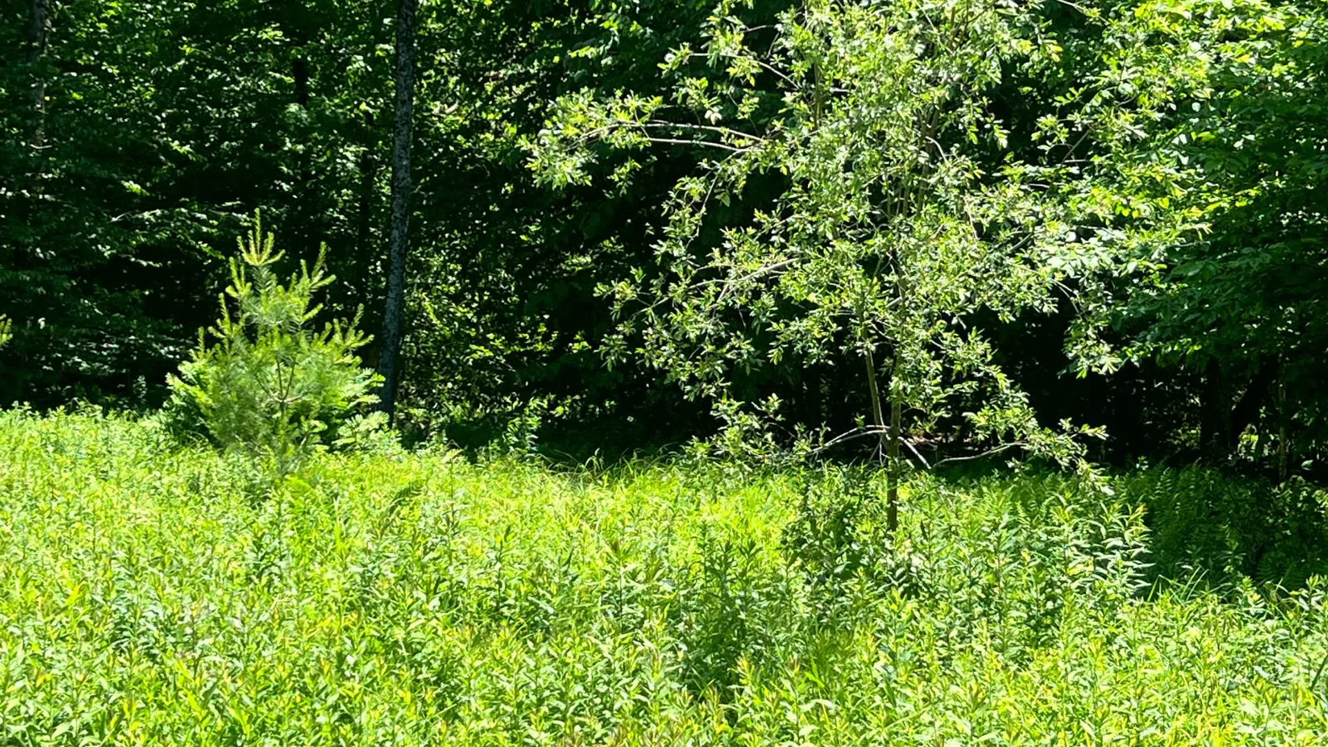 Property at Lot 8 Yorkland Rd, Annsville, NY 13471 7