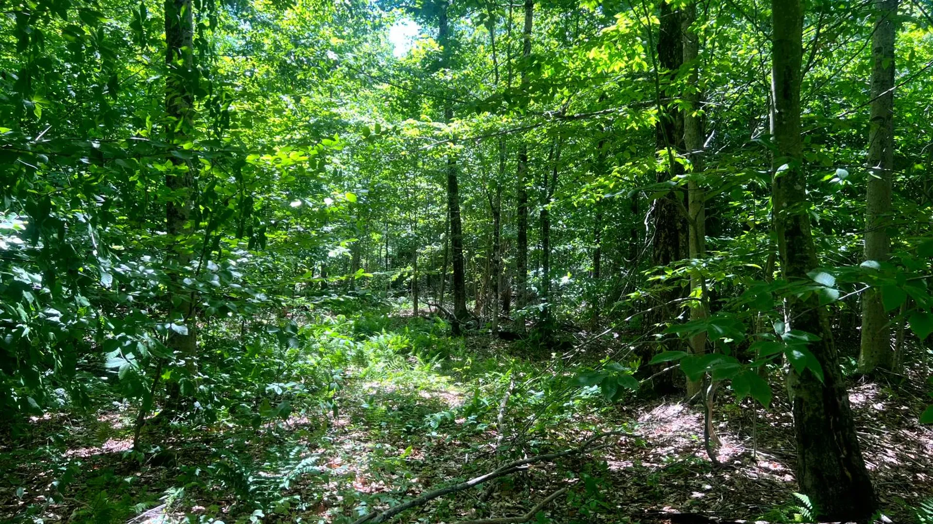 Property at Lot 8 Yorkland Rd, Annsville, NY 13471 8