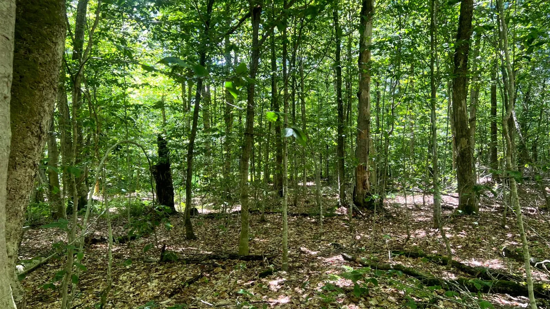 Property at Lot 8 Yorkland Rd, Annsville, NY 13471 9