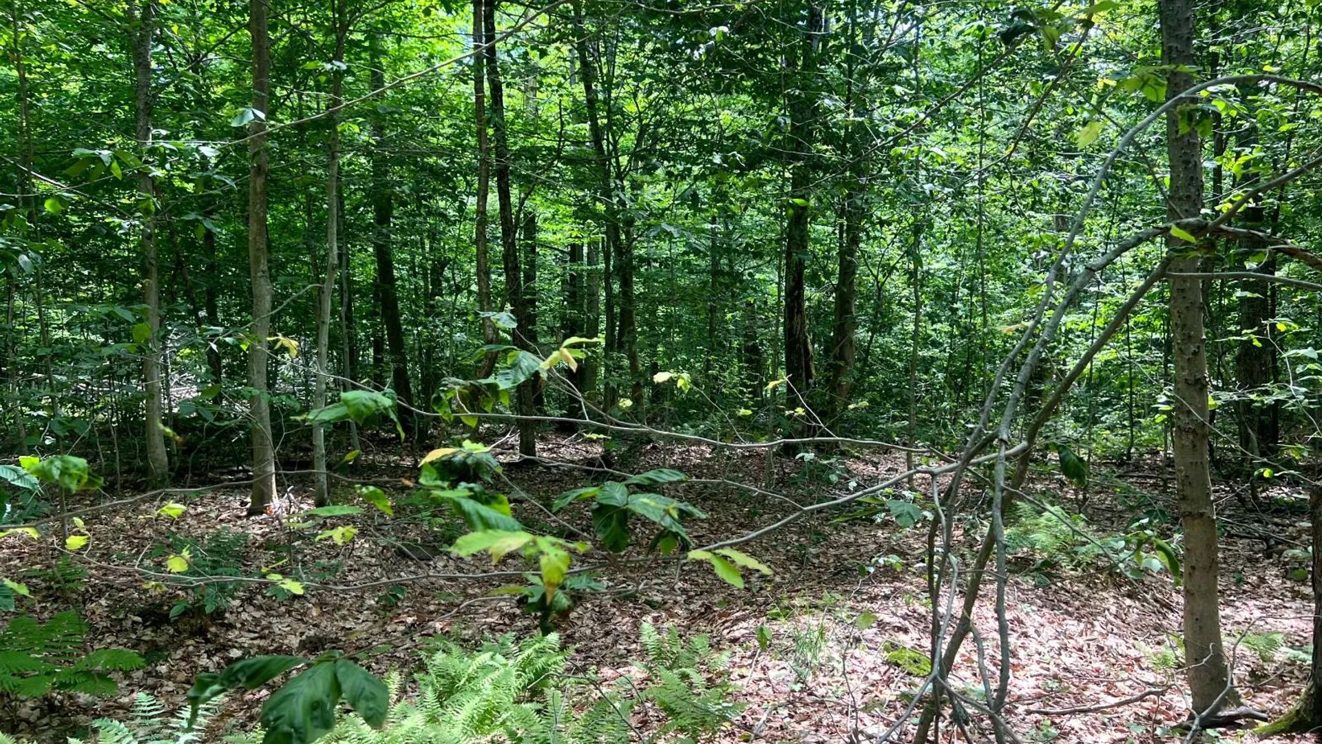 Property at Lot 8 Yorkland Rd, Annsville, NY 13471 10