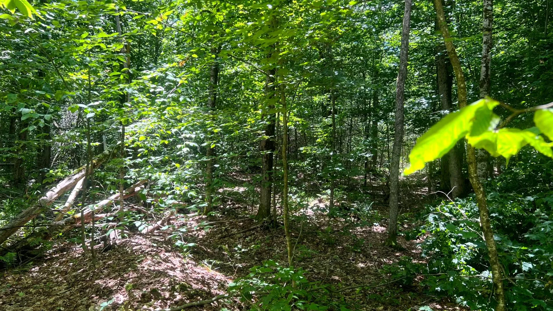 Property at Lot 8 Yorkland Rd, Annsville, NY 13471 11