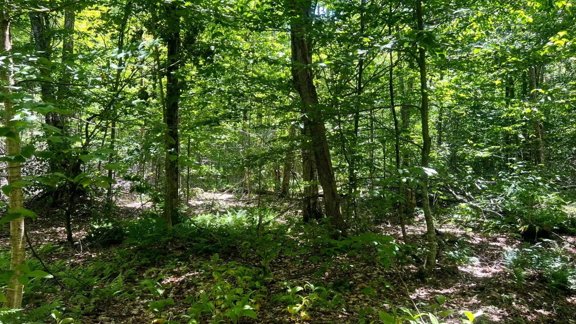 Property at Lot 8 Yorkland Rd, Annsville, NY 13471 12