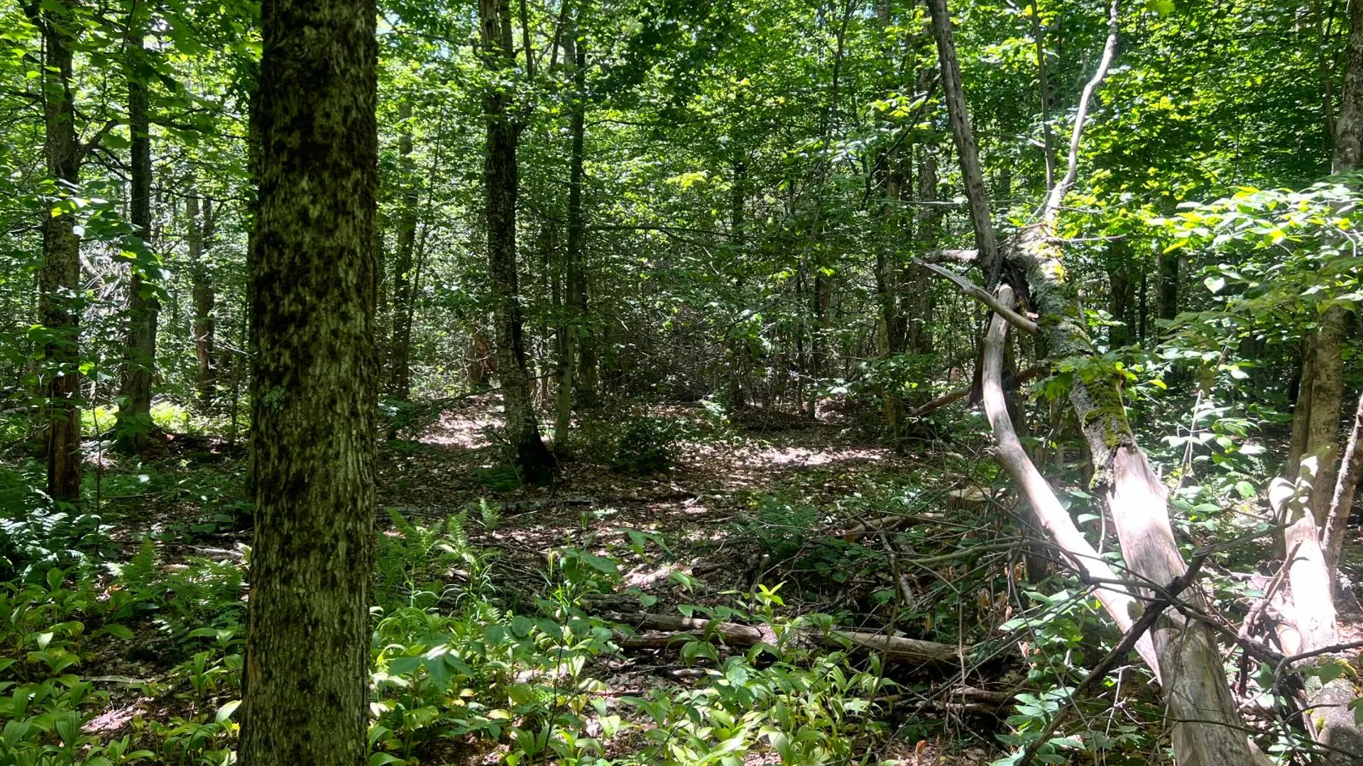Property at Lot 8 Yorkland Rd, Annsville, NY 13471 13