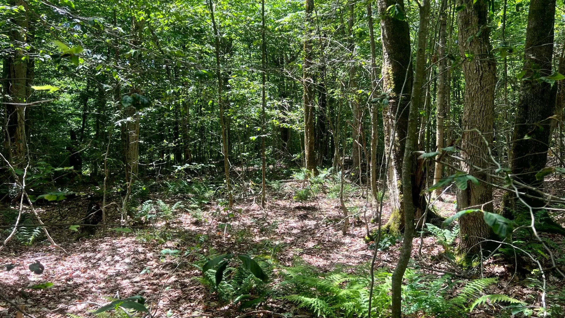 Property at Lot 8 Yorkland Rd, Annsville, NY 13471 14
