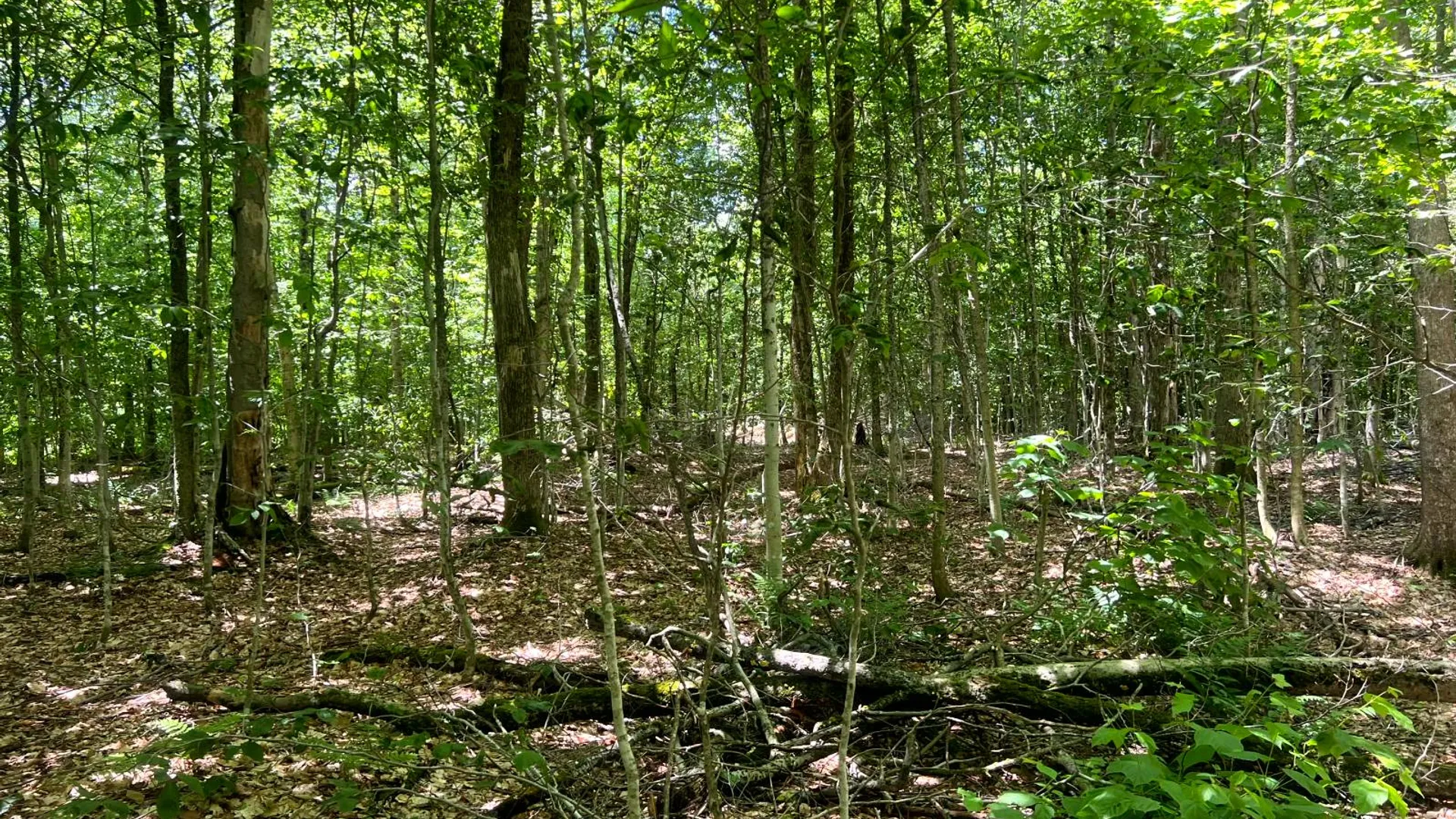 Property at Lot 8 Yorkland Rd, Annsville, NY 13471 15