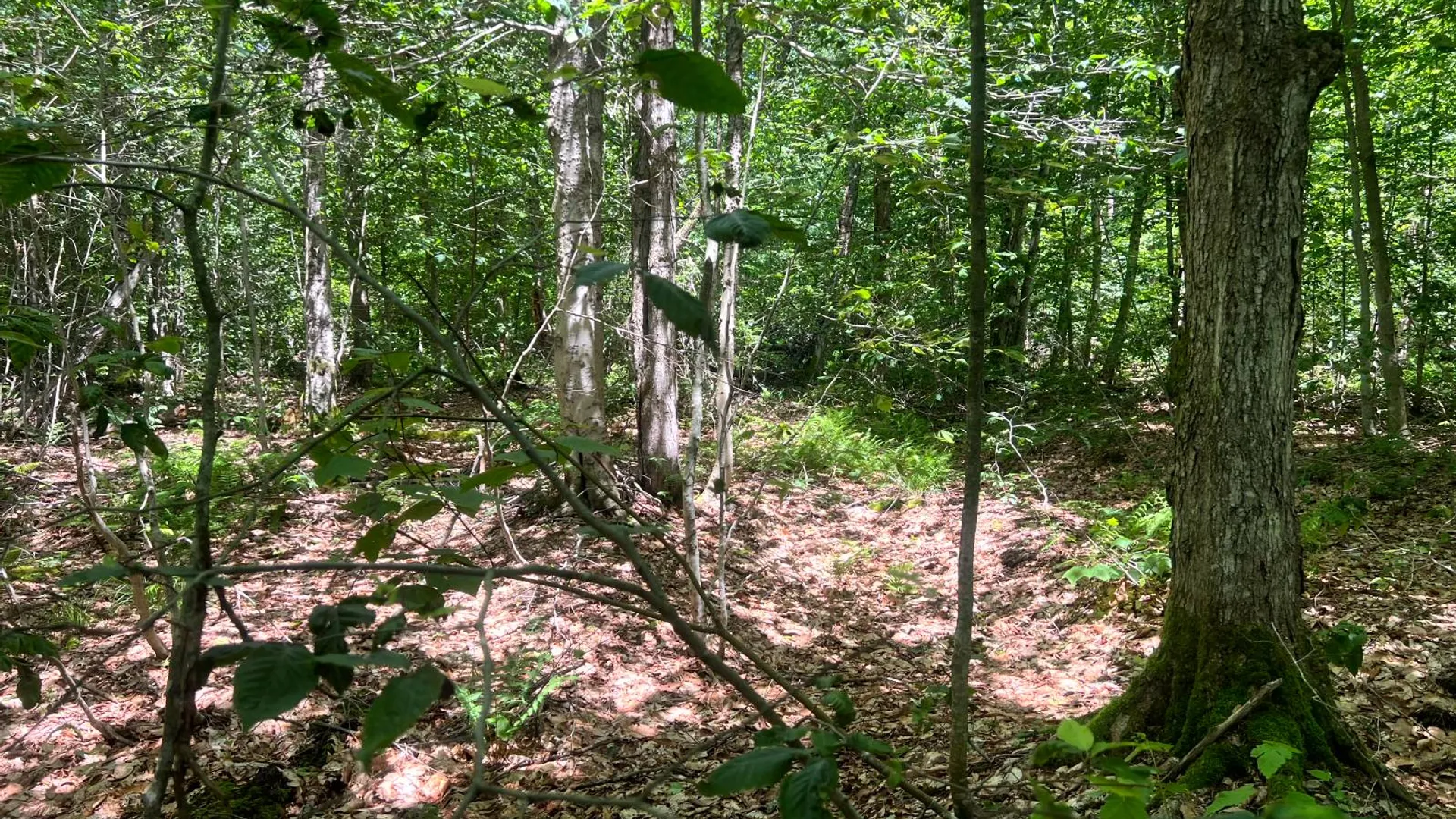 Property at Lot 8 Yorkland Rd, Annsville, NY 13471 16