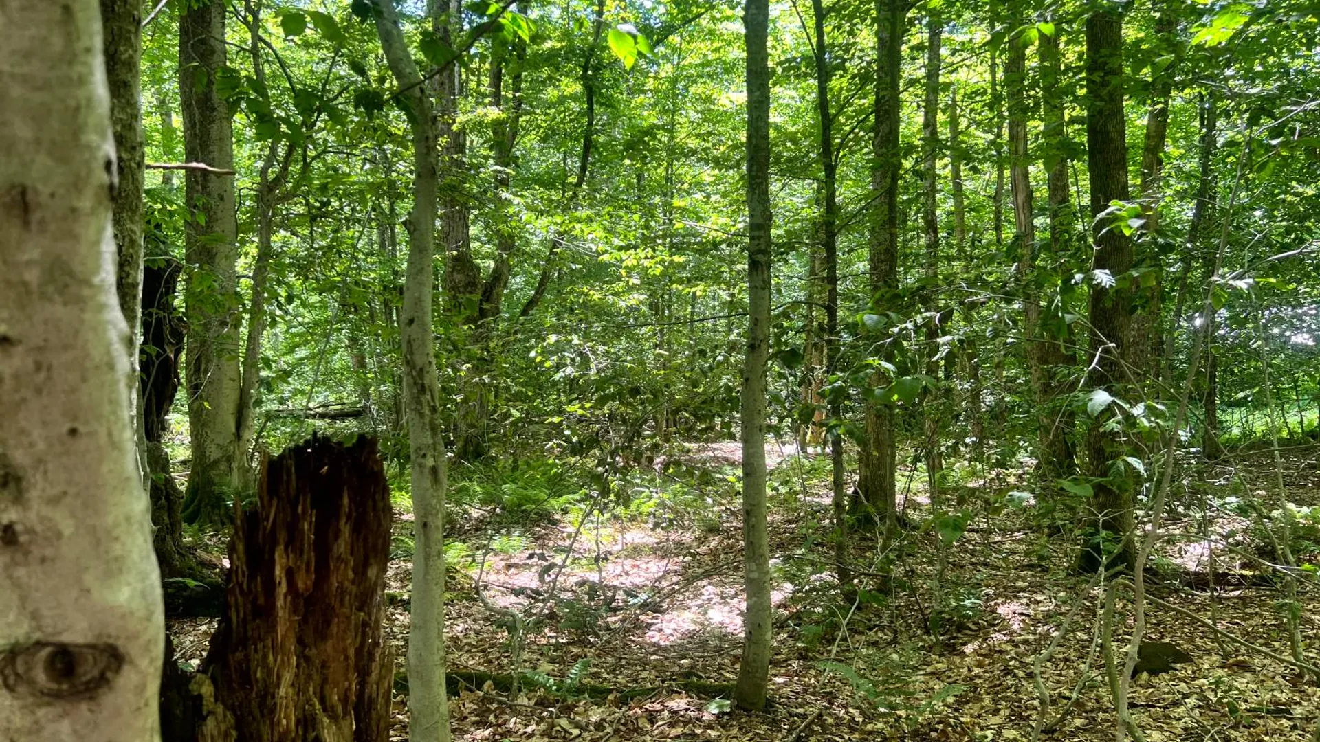 Property at Lot 8 Yorkland Rd, Annsville, NY 13471 17