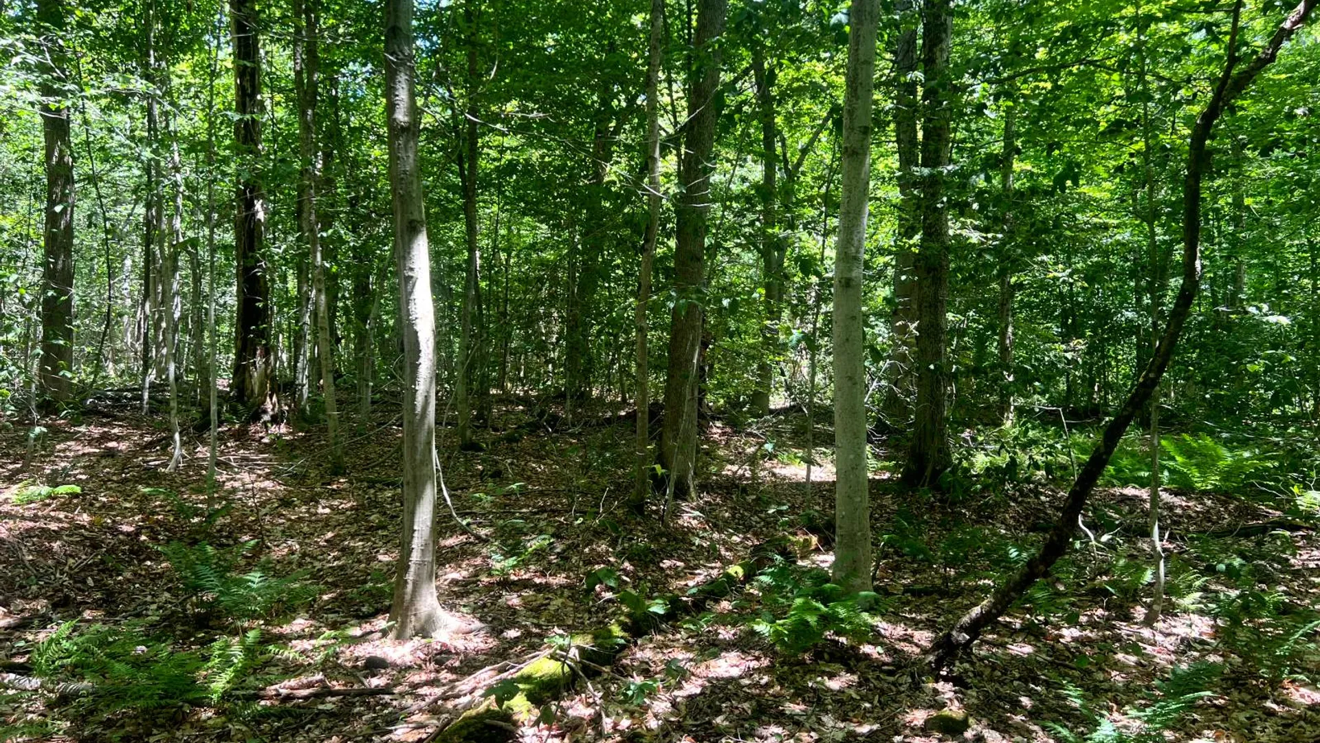 Property at Lot 8 Yorkland Rd, Annsville, NY 13471 18