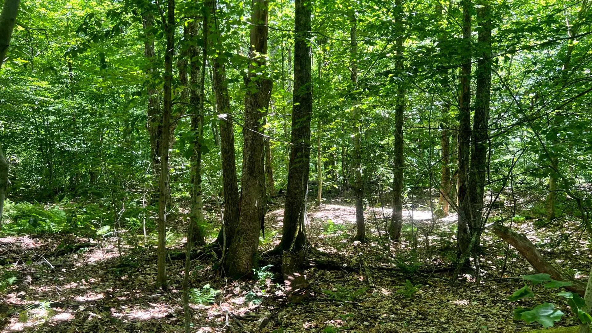 Property at Lot 8 Yorkland Rd, Annsville, NY 13471 19