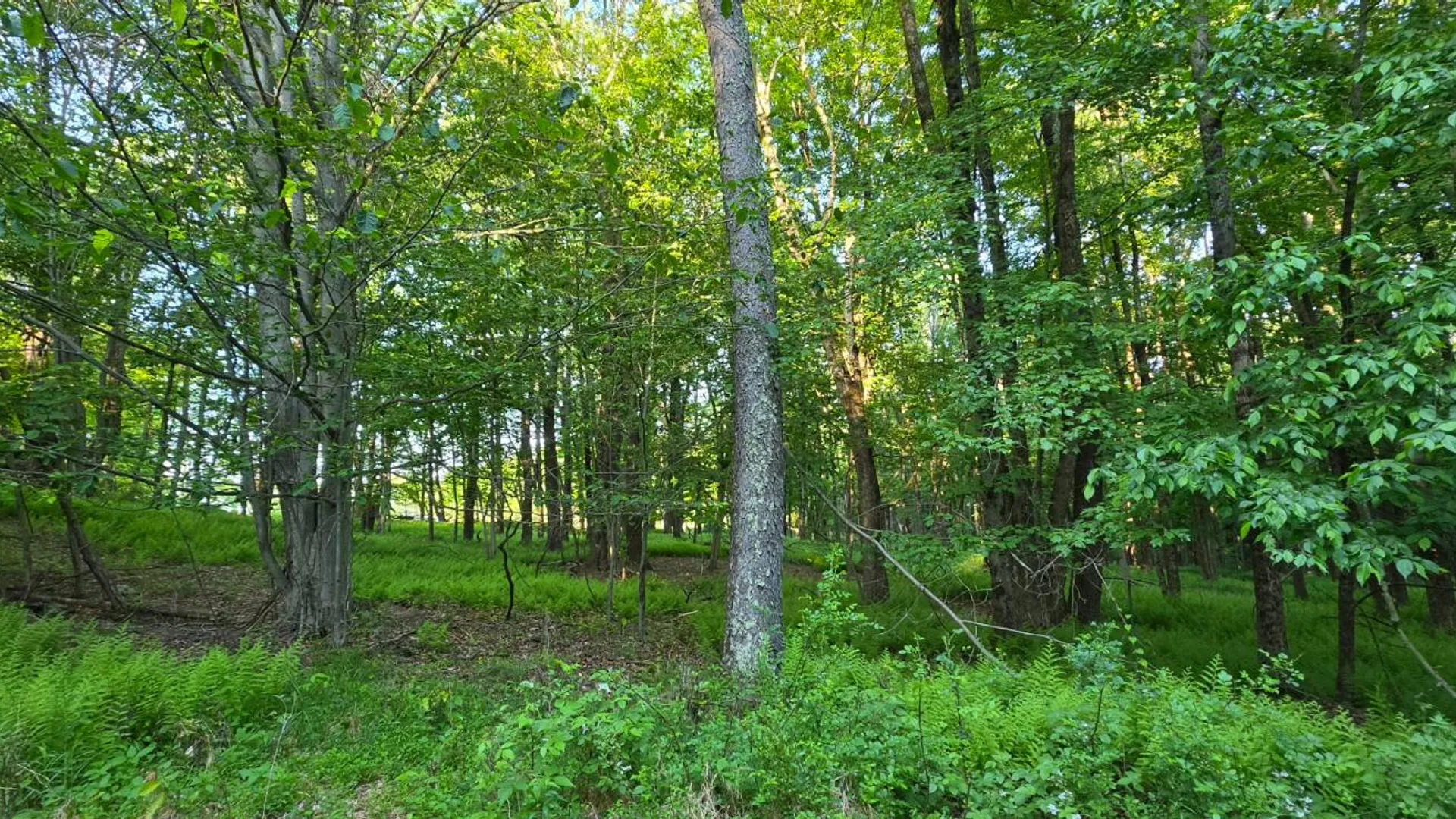 Property at Lot 1.35 West Shore Rd, Swan Lake, NY 12783 2