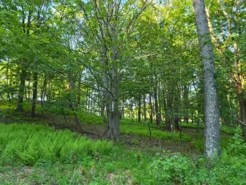 Property at Lot 1.35 West Shore Rd, Swan Lake, NY 12783