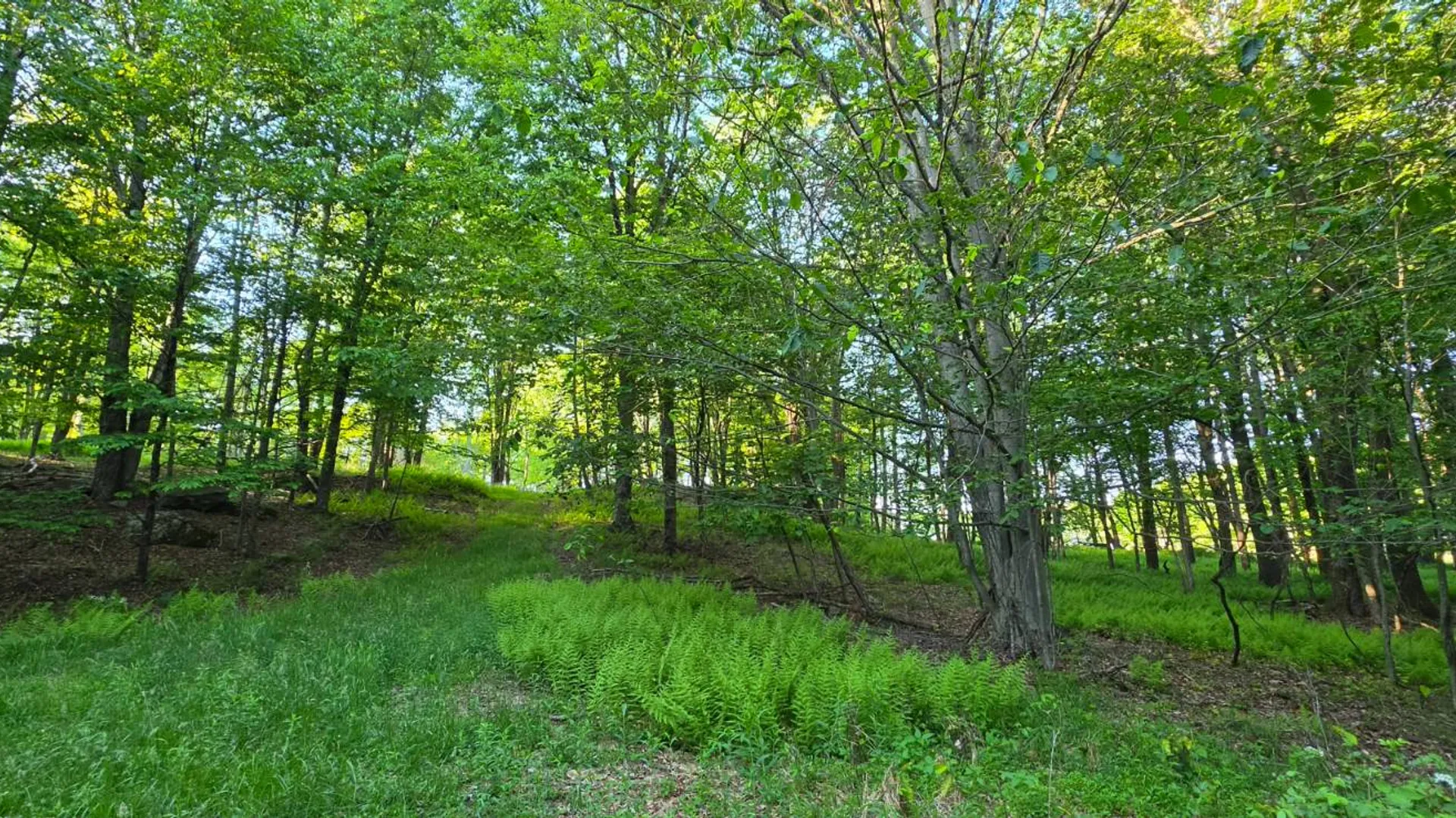 Property at Lot 1.35 West Shore Rd, Swan Lake, NY 12783 3