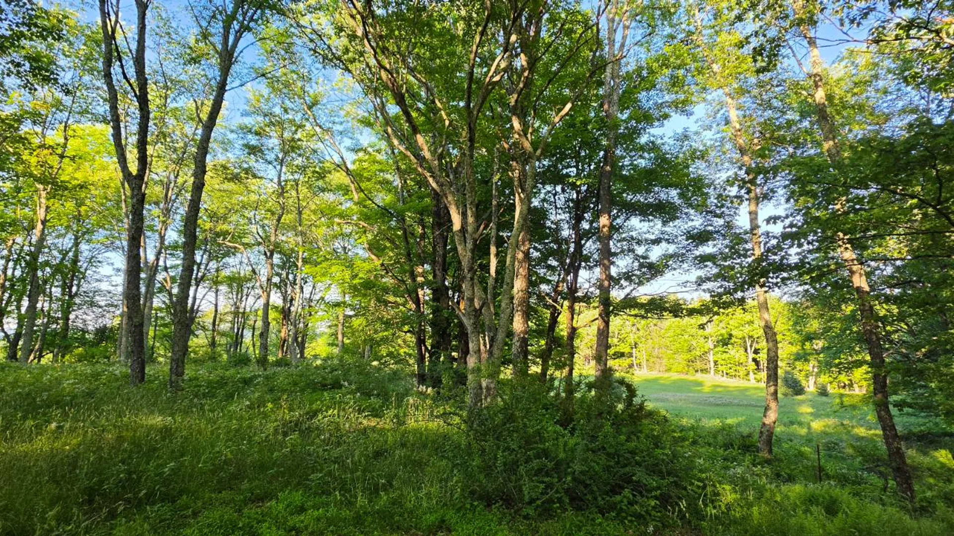 Property at Lot 1.35 West Shore Rd, Swan Lake, NY 12783 5