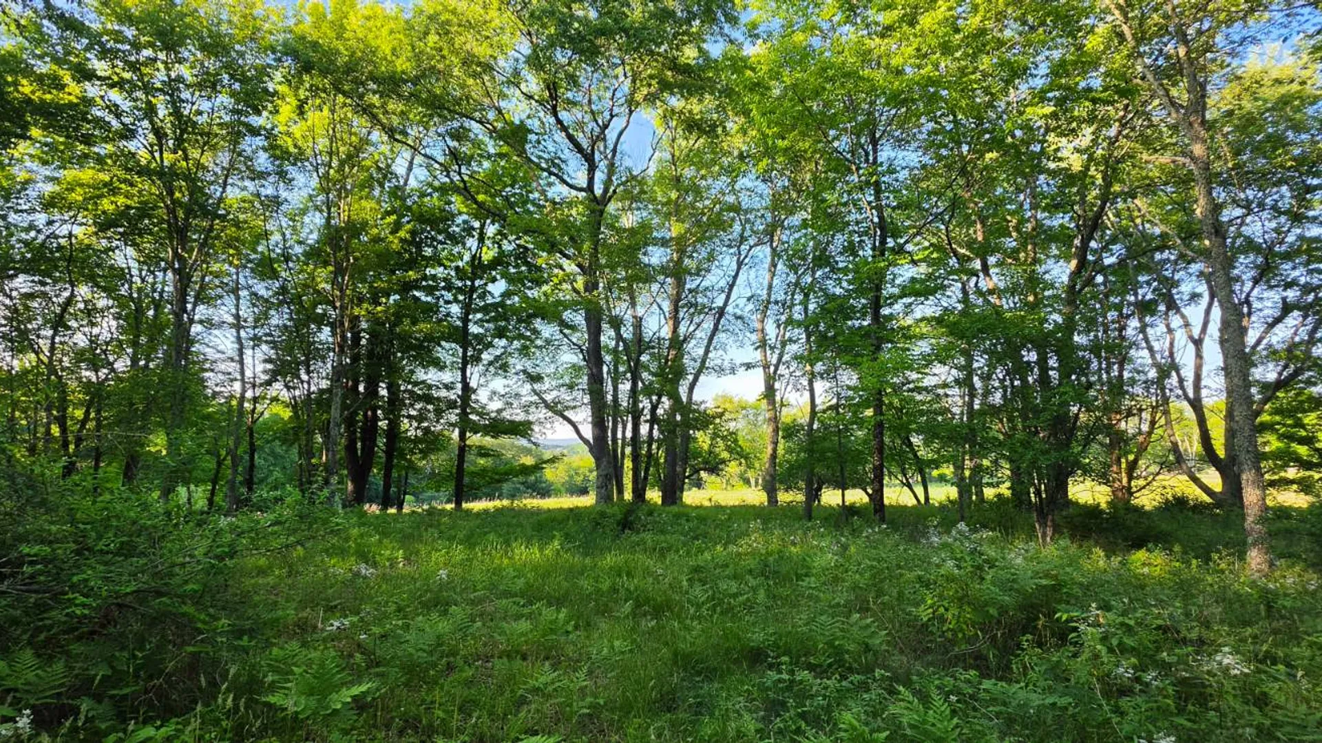 Property at Lot 1.35 West Shore Rd, Swan Lake, NY 12783 9