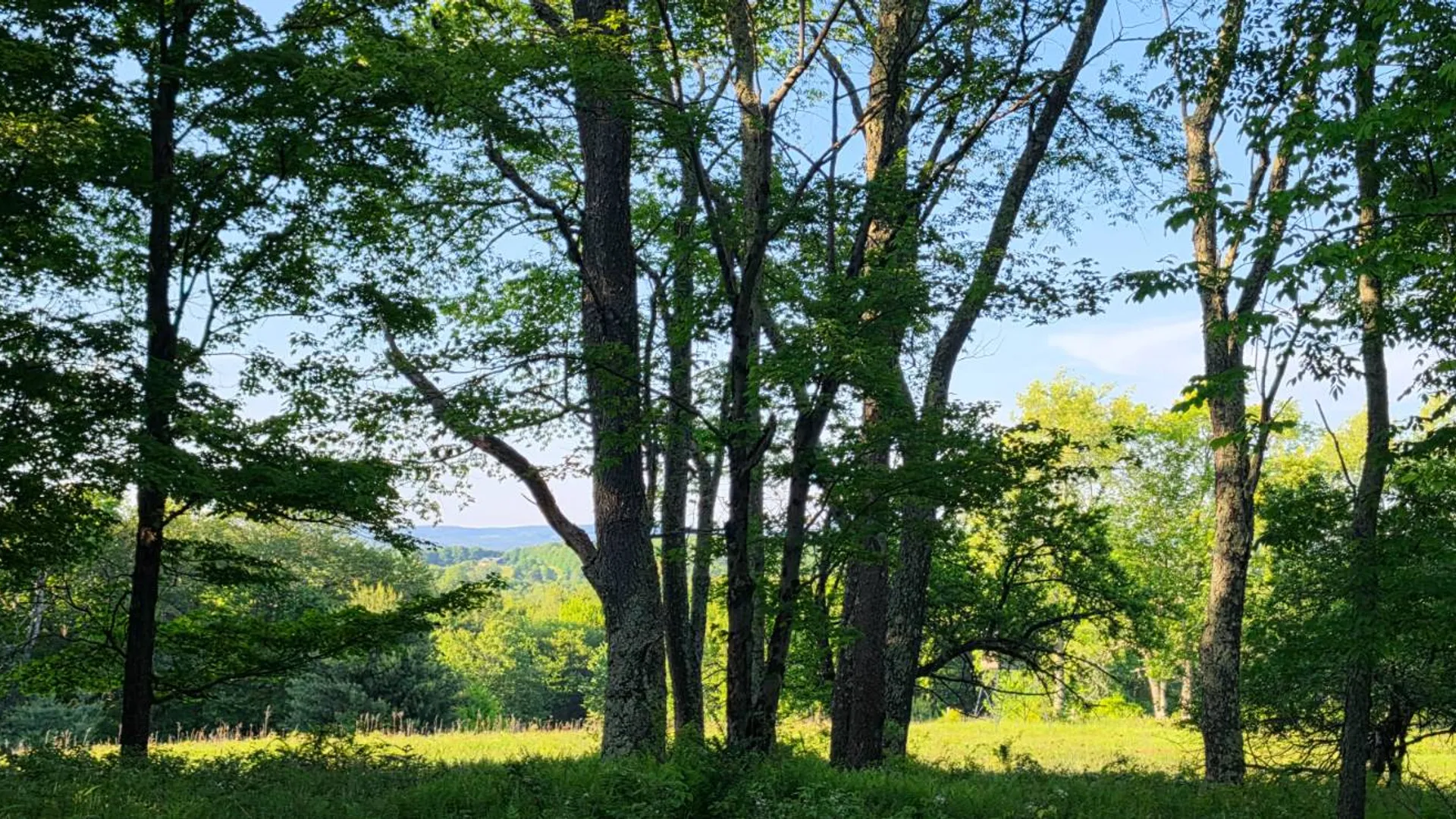 Property at Lot 1.35 West Shore Rd, Swan Lake, NY 12783 10