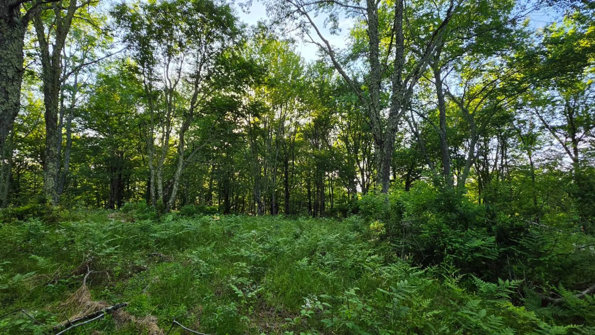 Property at Lot 1.35 West Shore Rd, Swan Lake, NY 12783 11