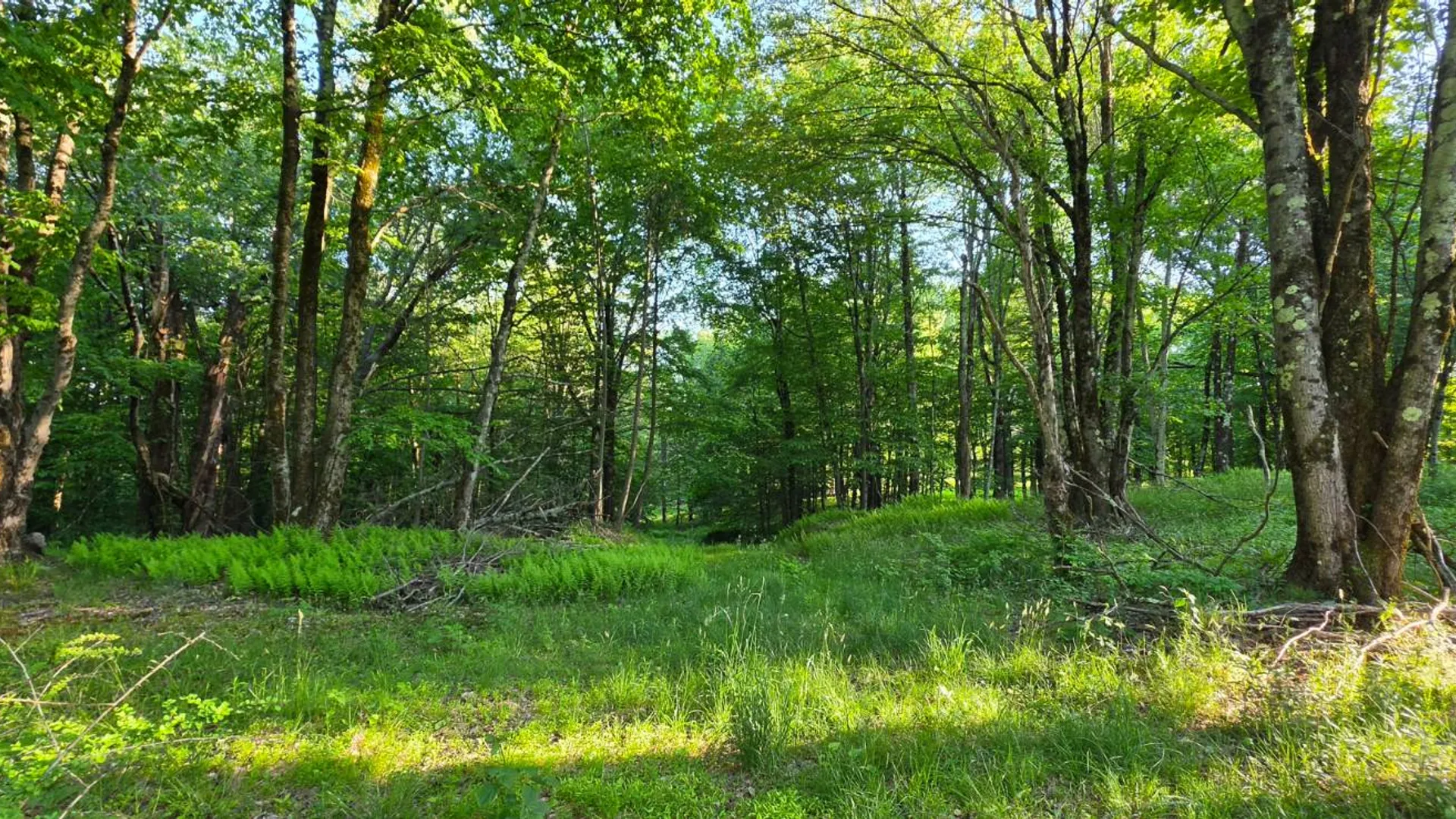 Property at Lot 1.35 West Shore Rd, Swan Lake, NY 12783 14