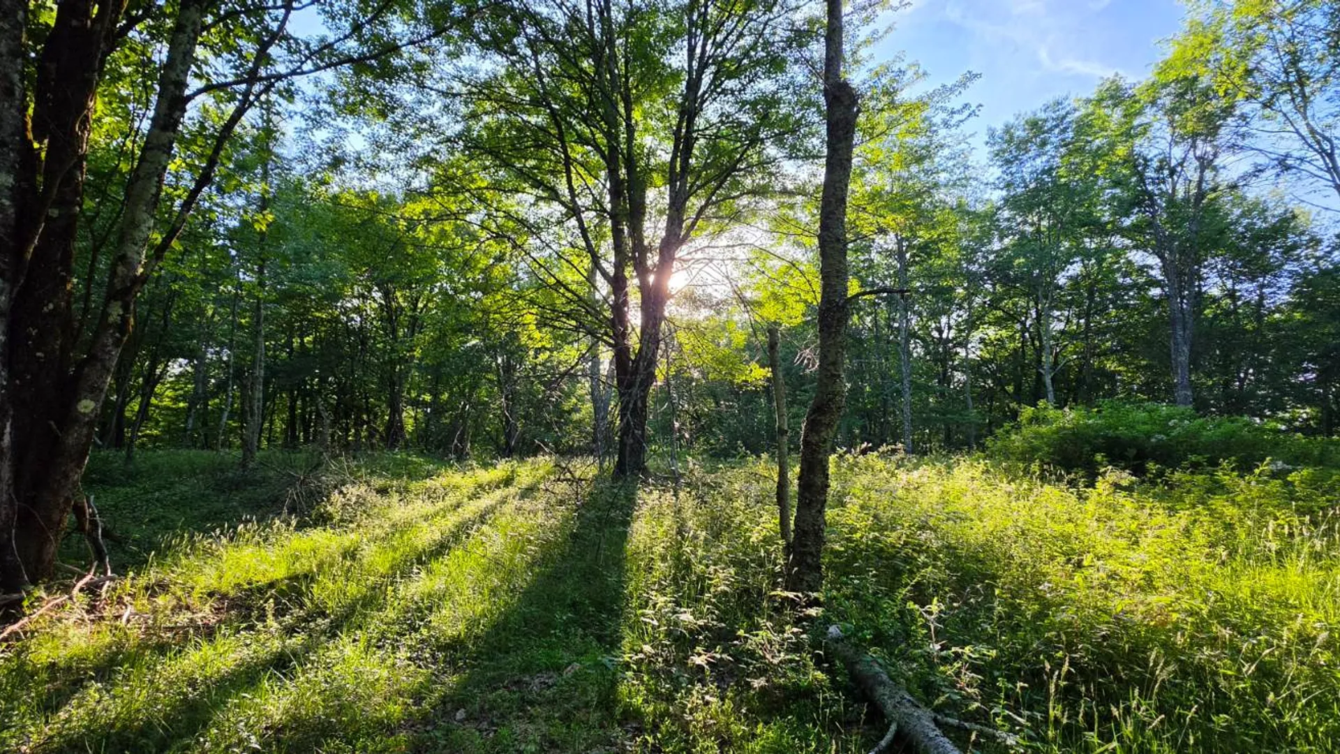 Property at Lot 1.35 West Shore Rd, Swan Lake, NY 12783 15
