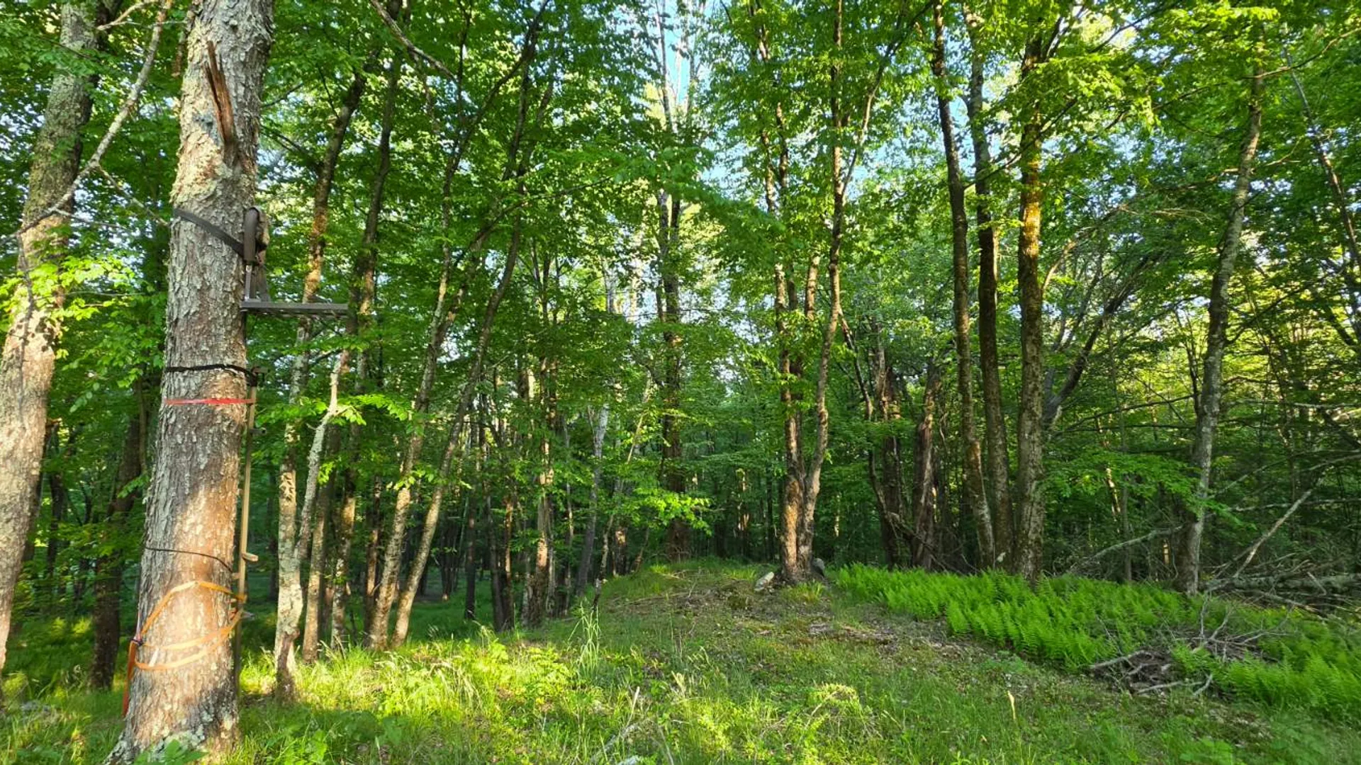 Property at Lot 1.35 West Shore Rd, Swan Lake, NY 12783 16