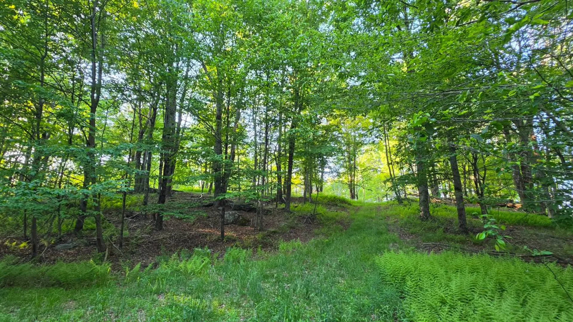 Property at Lot 1.35 West Shore Rd, Swan Lake, NY 12783 17
