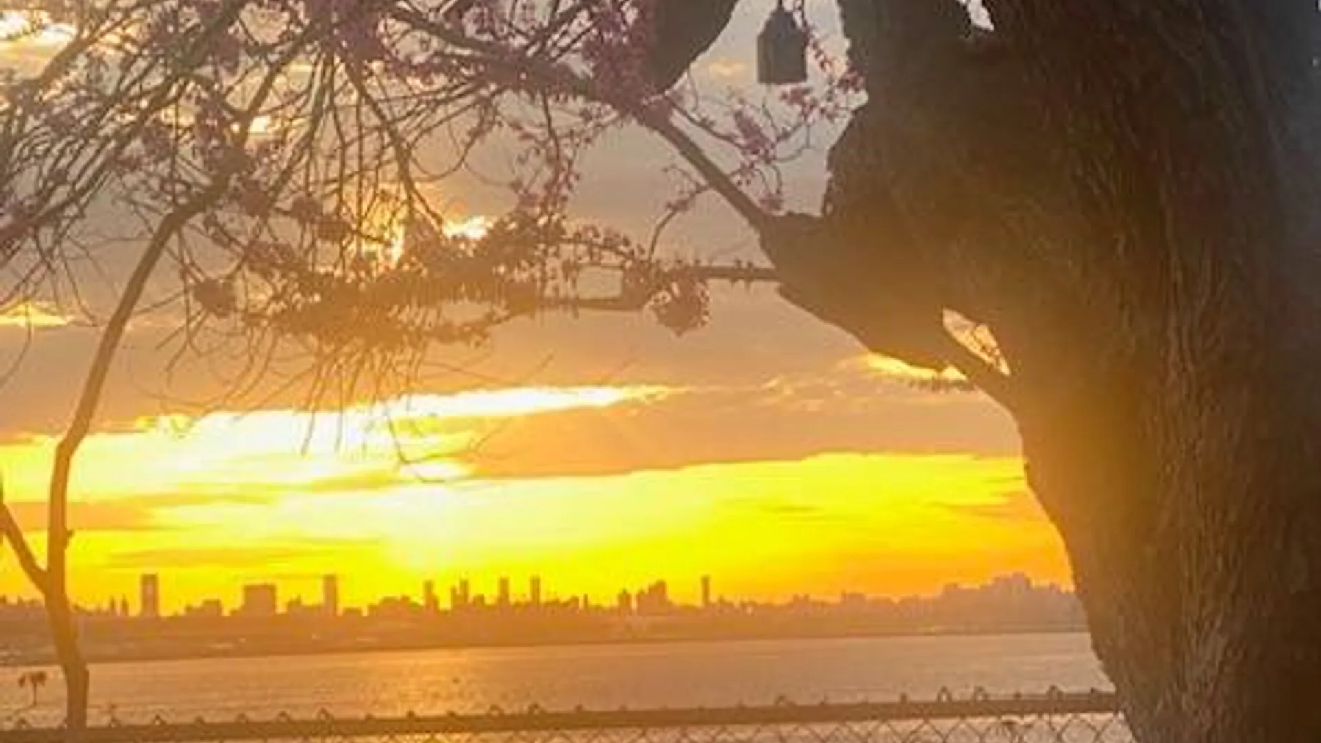 Property at 2550 120th street, College Point, NY 11354 6