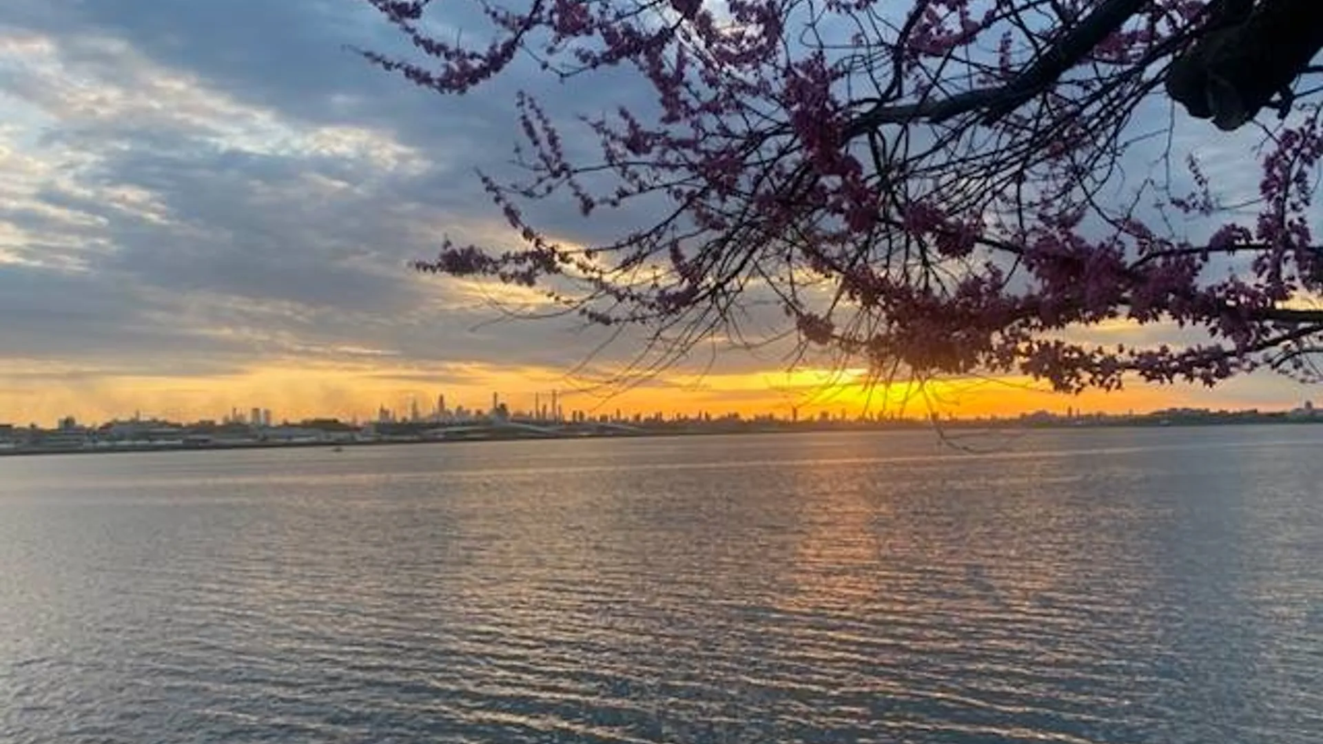 Property at 2550 120th street, College Point, NY 11354 8