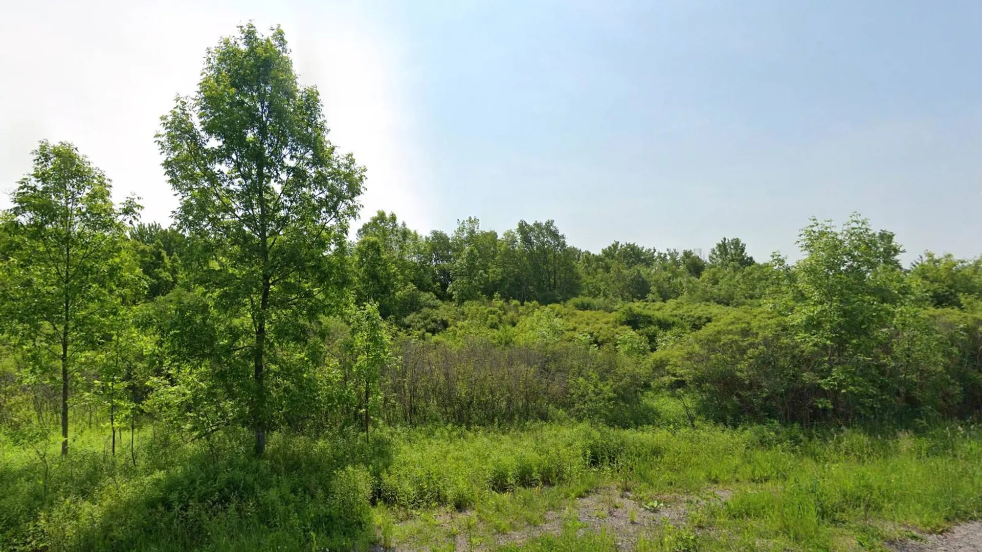 Property at 00 cty rte 46, Theresa, NY 13691 9