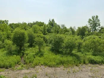 Property at 00 cty rte 46, Theresa, NY 13691