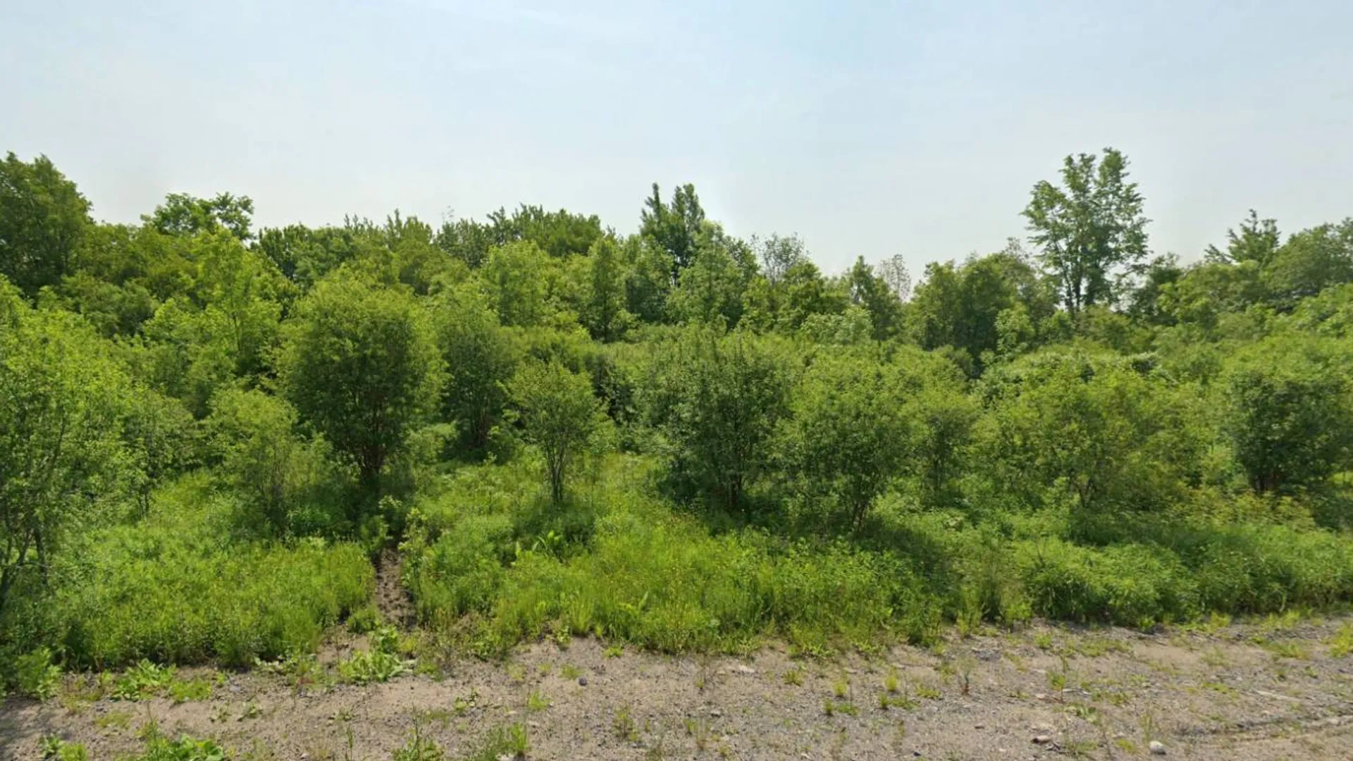 Property at 00 cty rte 46, Theresa, NY 13691 6