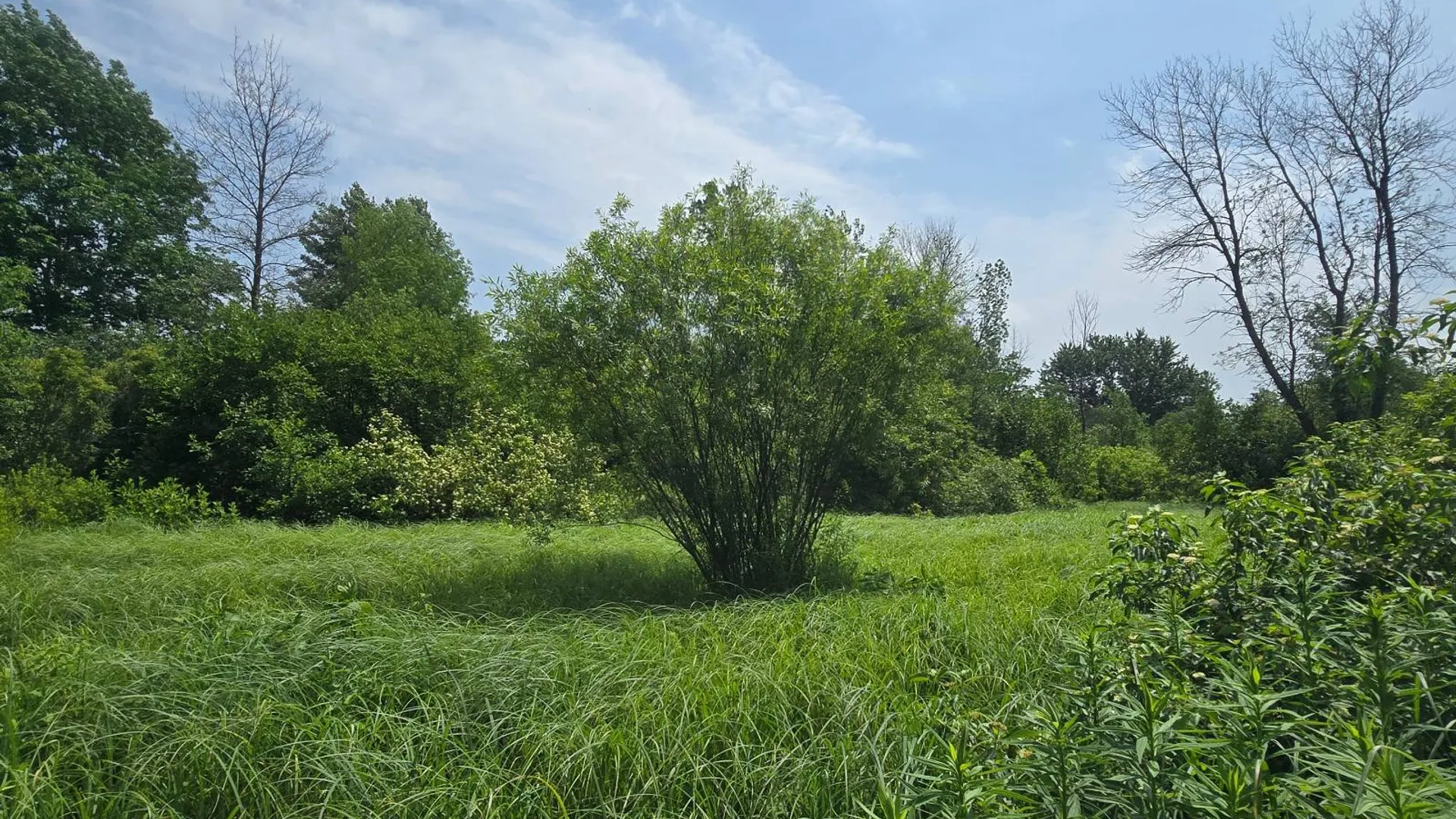 Property at 00 cty rte 46, Theresa, NY 13691 13