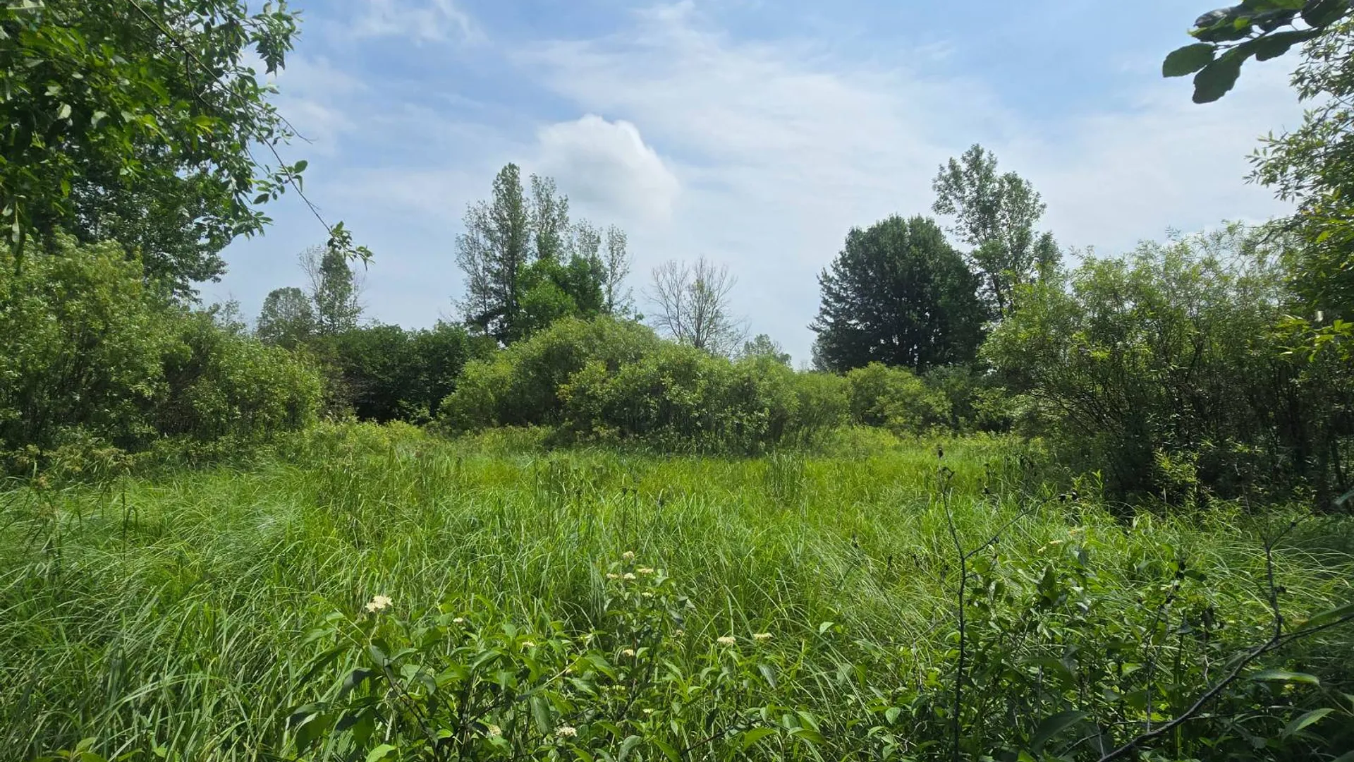Property at 00 cty rte 46, Theresa, NY 13691 10