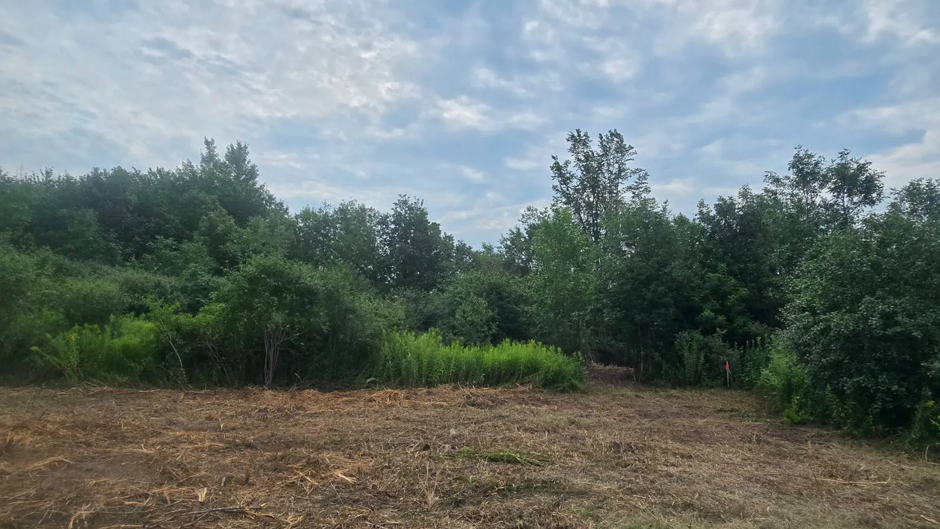 Property at 00 cty rte 46, Theresa, NY 13691 12