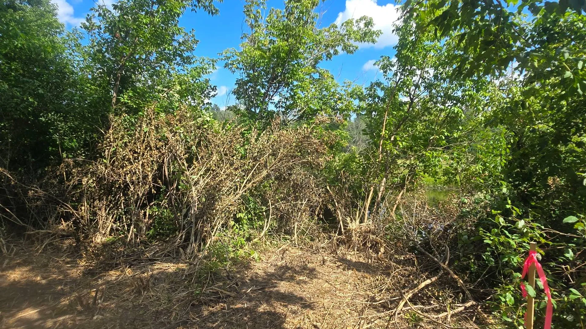 Property at 00 cty rte 46, Theresa, NY 13691 3