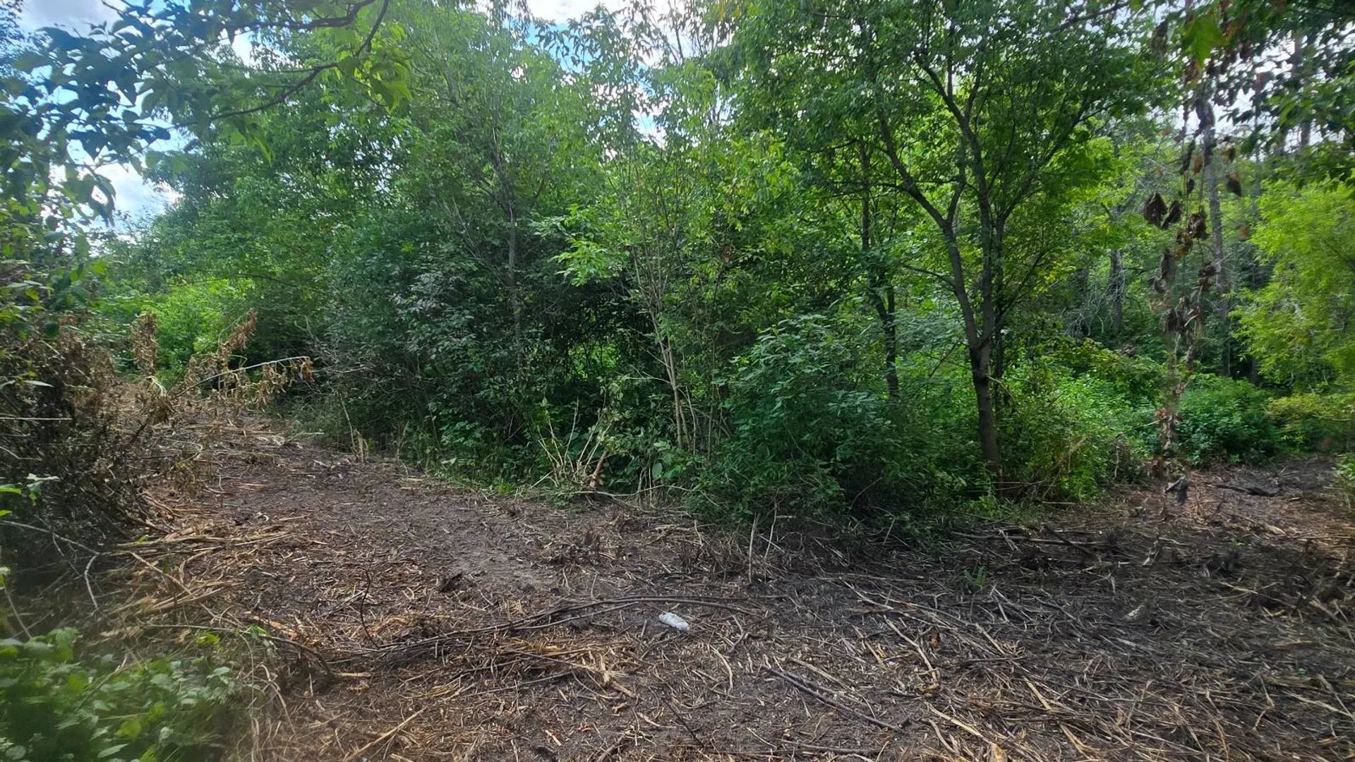 Property at 00 cty rte 46, Theresa, NY 13691 4