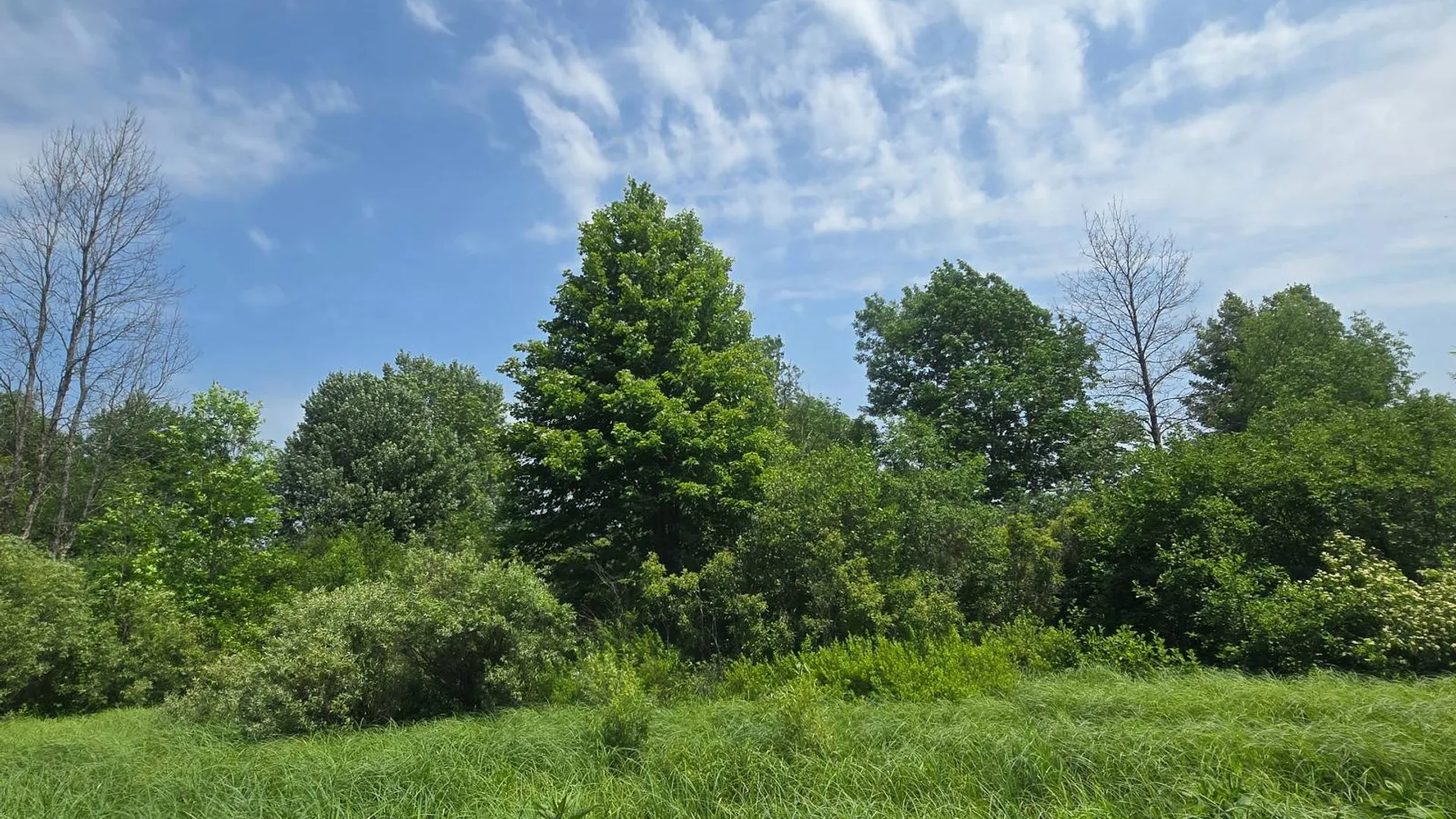 Property at 00 cty rte 46, Theresa, NY 13691 11