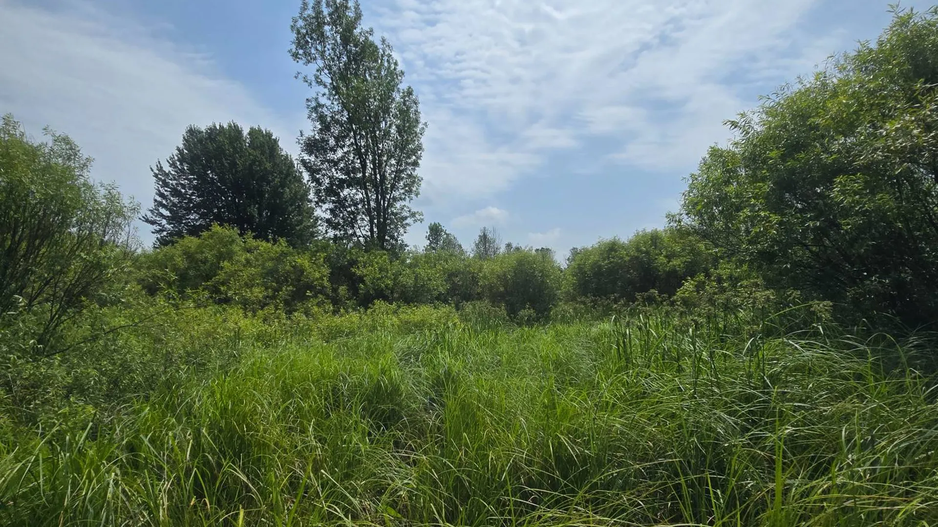 Property at 00 cty rte 46, Theresa, NY 13691 16