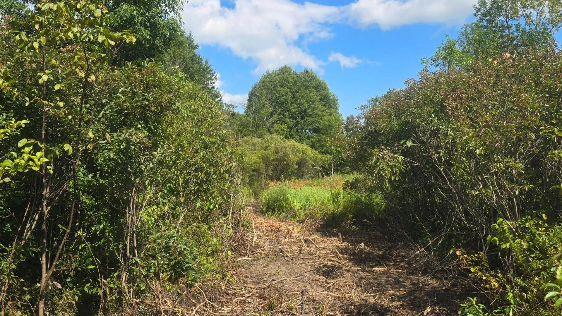 Property at 00 cty rte 46, Theresa, NY 13691 6