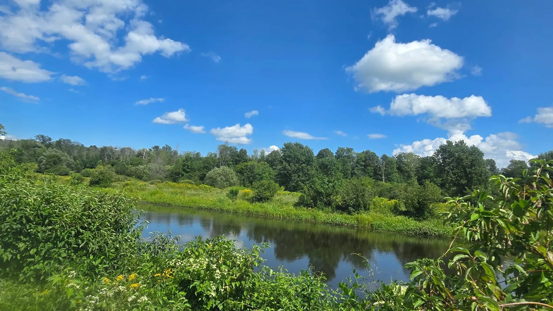 Property at 00 cty rte 46, Theresa, NY 13691 5