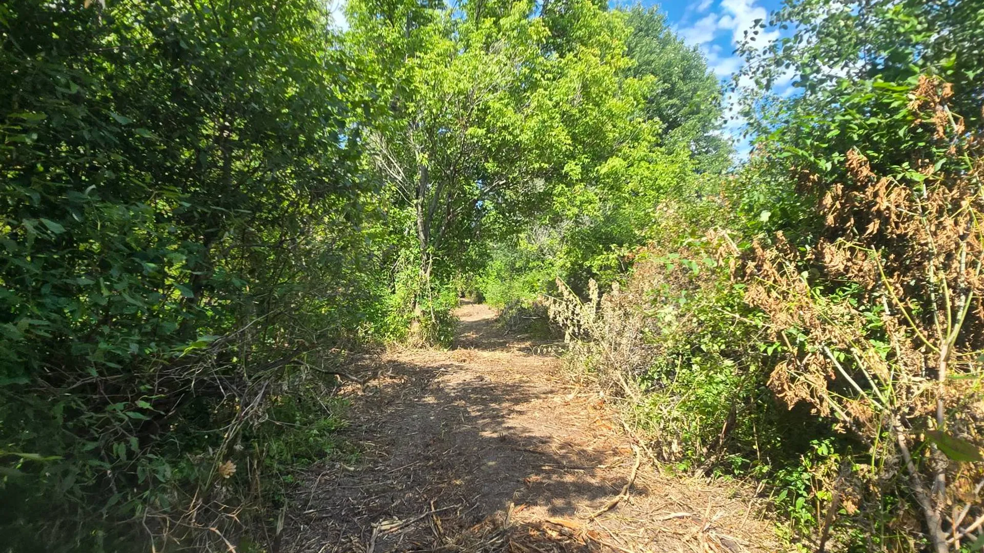 Property at 00 cty rte 46, Theresa, NY 13691 3