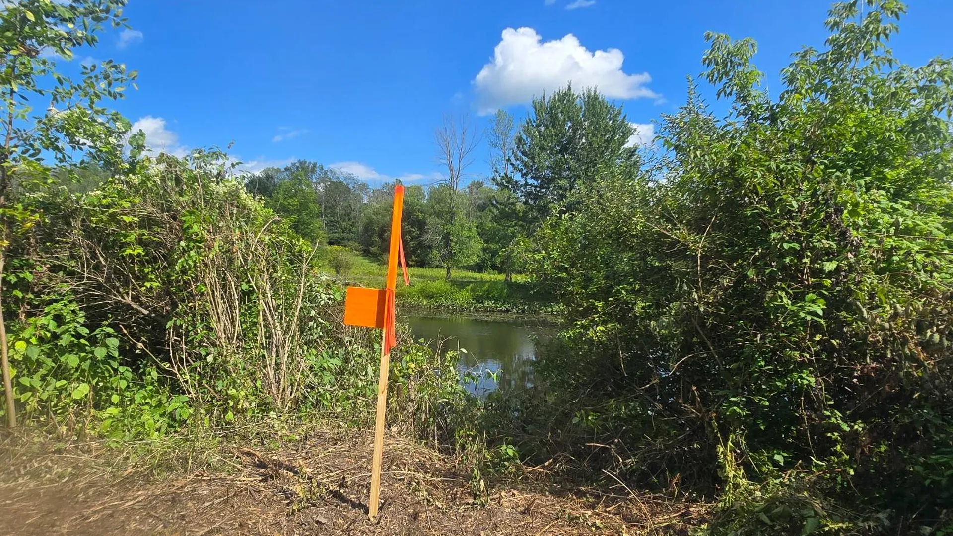Property at 00 cty rte 46, Theresa, NY 13691 4