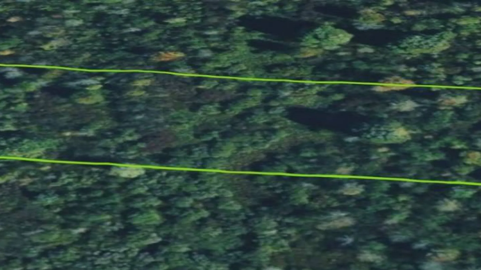 Property at 00 cty rte 46, Theresa, NY 13691 17