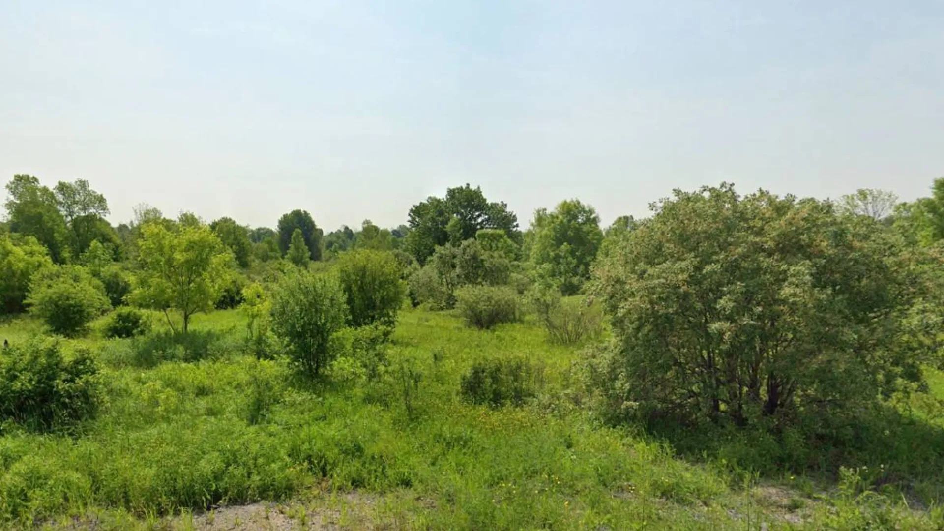 Property at 00 cty rte 46, Theresa, NY 13691 10