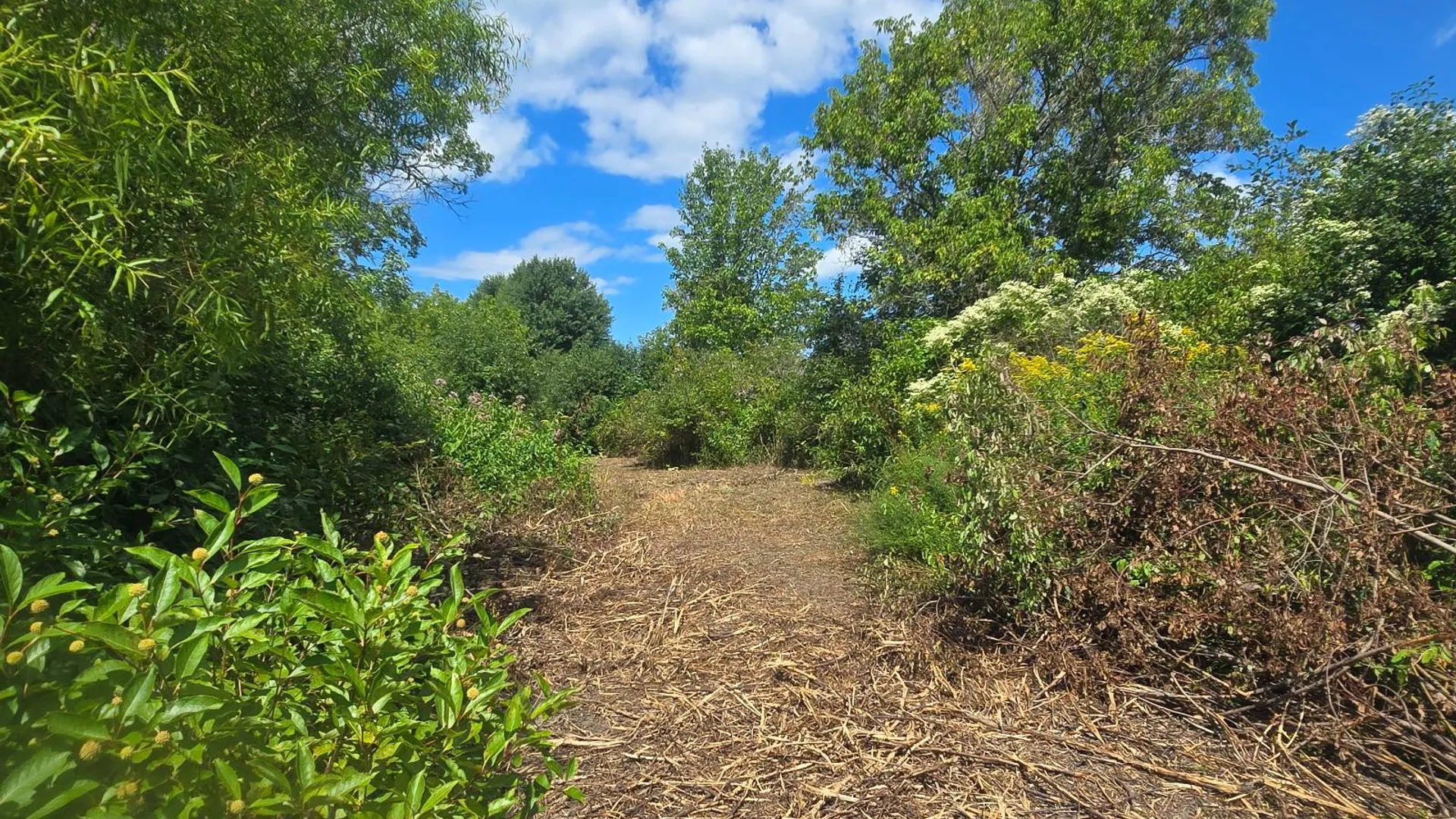Property at 00 cty rte 46, Theresa, NY 13691 5