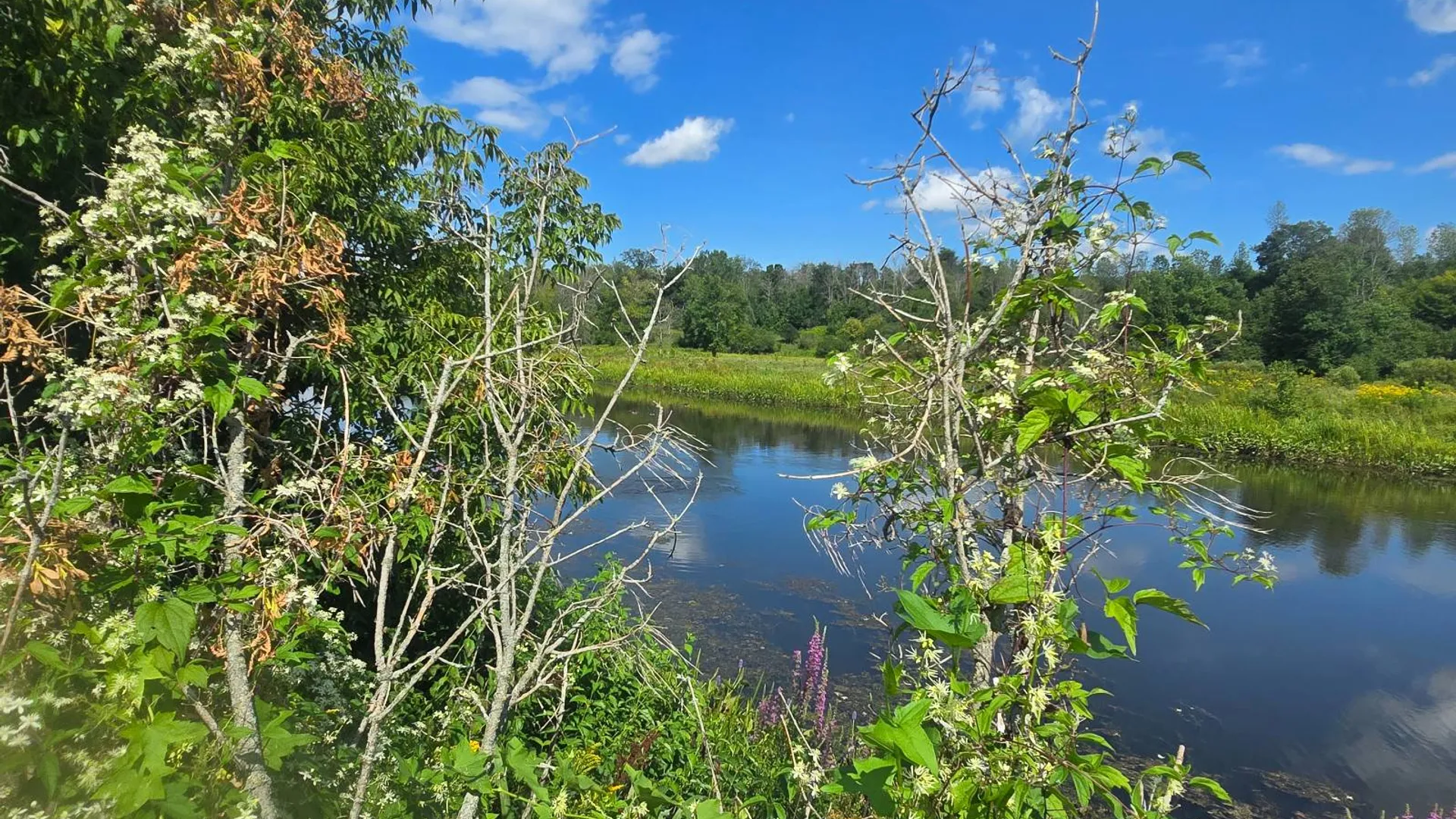 Property at 00 cty rte 46, Theresa, NY 13691 4