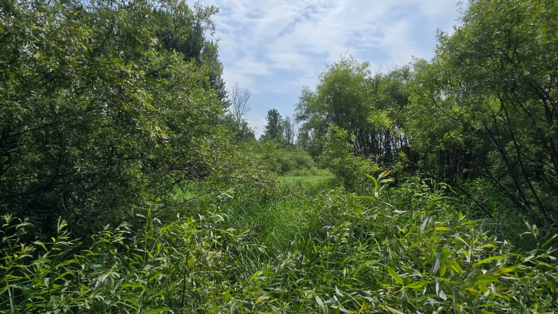Property at 00 cty rte 46, Theresa, NY 13691 12