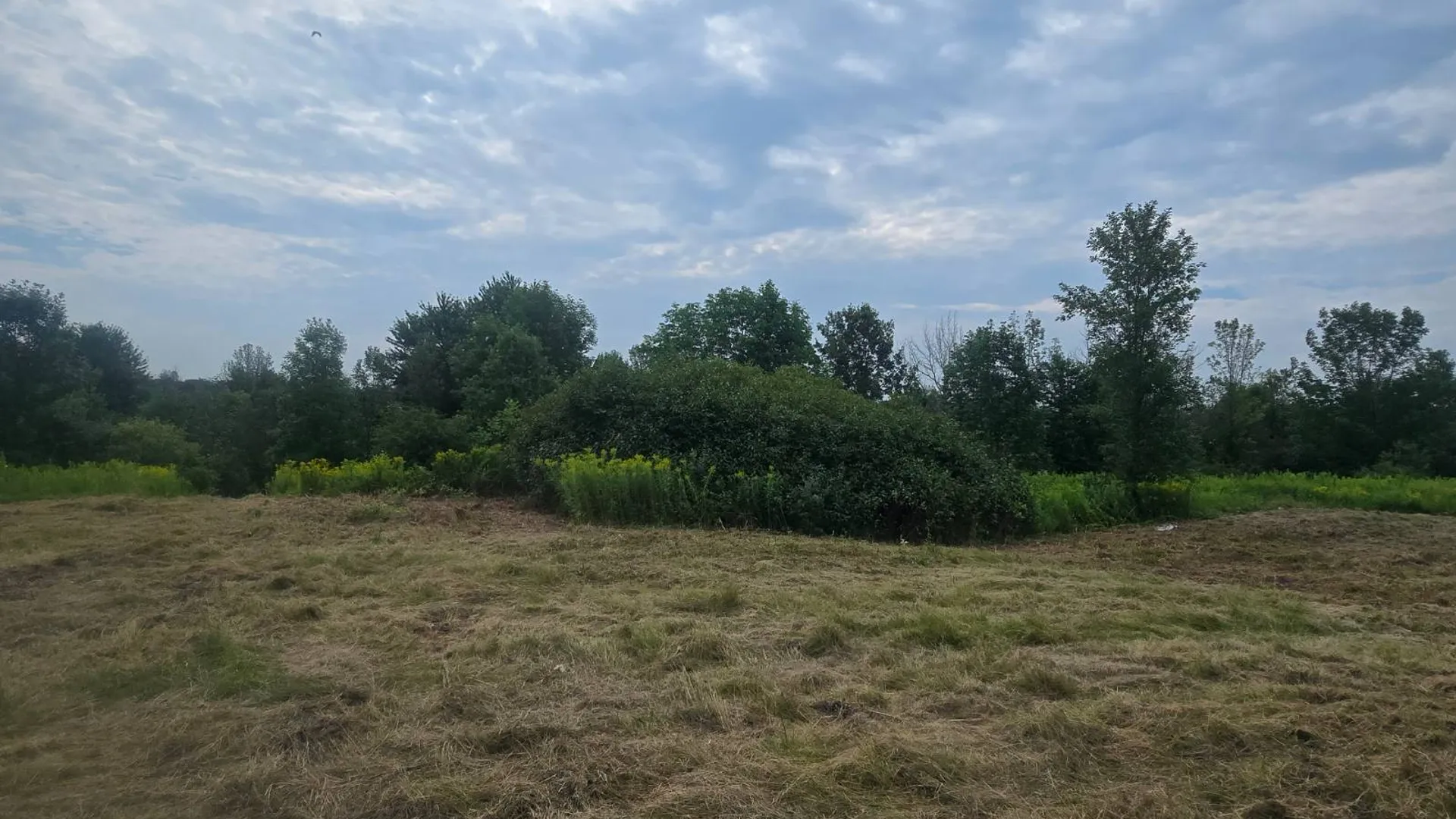 Property at 00 cty rte 46, Theresa, NY 13691 10
