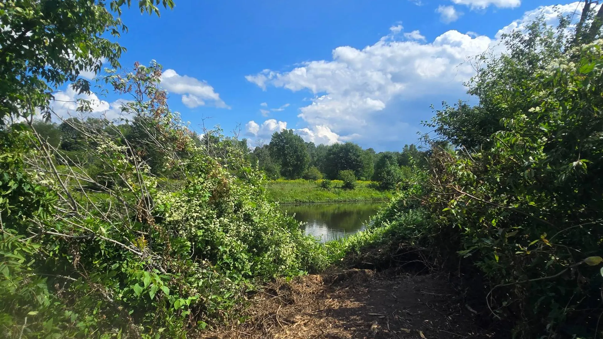 Property at 00 cty rte 46, Theresa, NY 13691 15