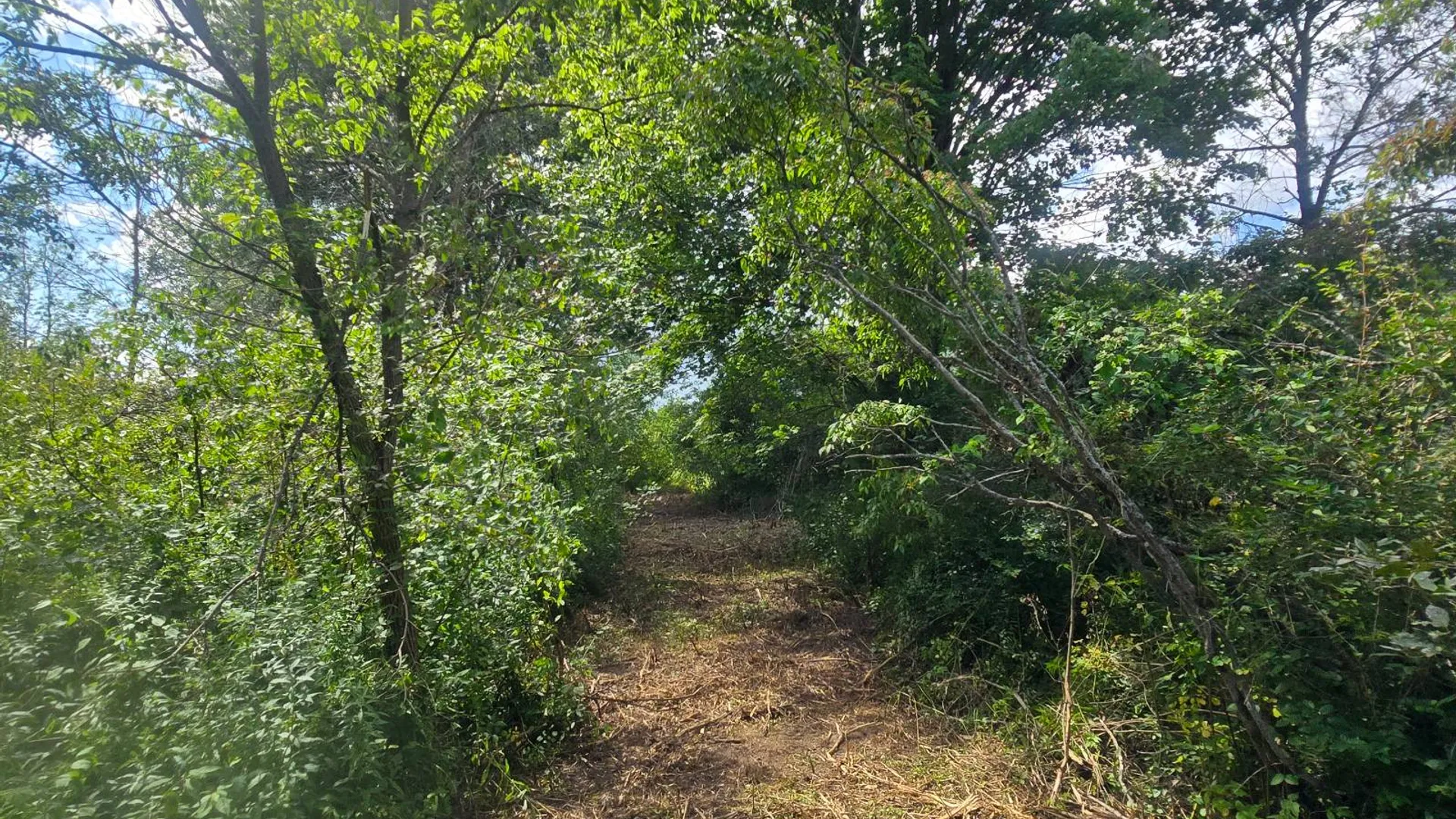 Property at 00 cty rte 46, Theresa, NY 13691 11