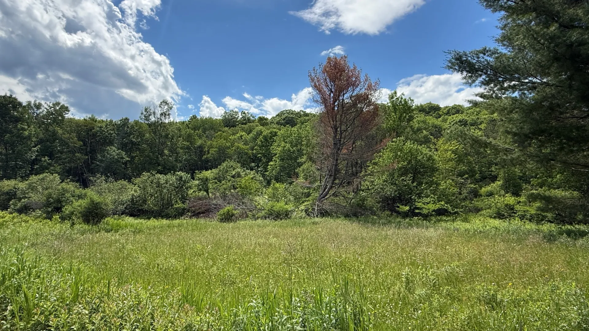 Property at 208 Pottery Ln, Cooperstown, NY 13326 40
